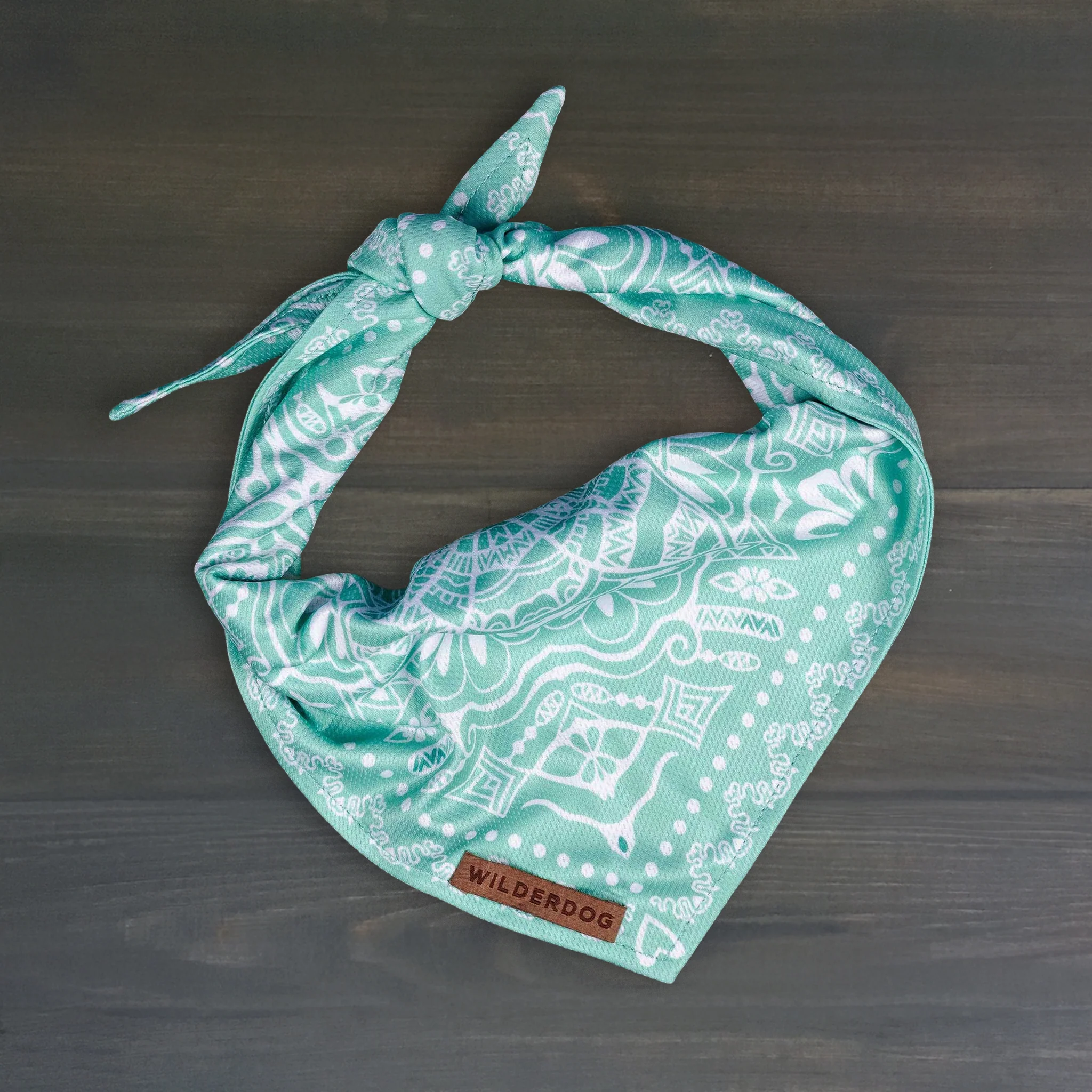 Agave Bandana