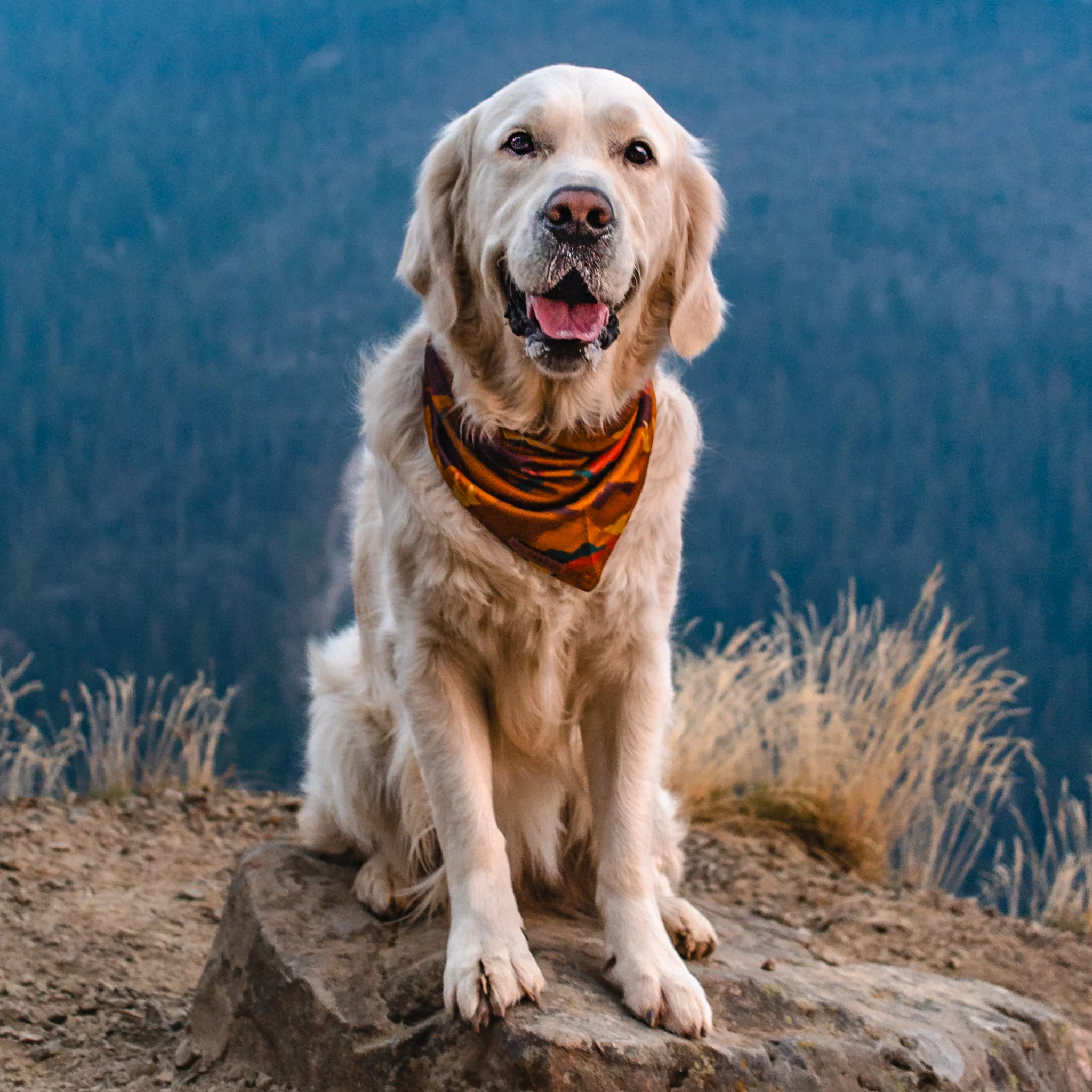 Autumn Air Bandana - Image 2