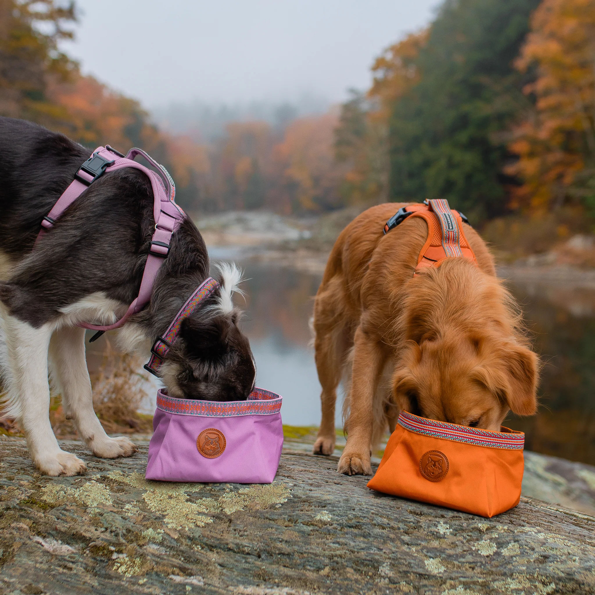 Backpacking Bowl - Image 10