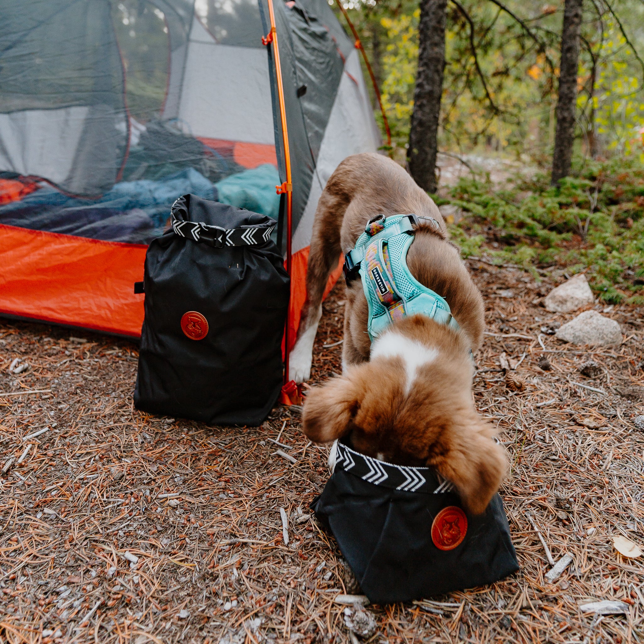 Backpacking Bowl - Image 7