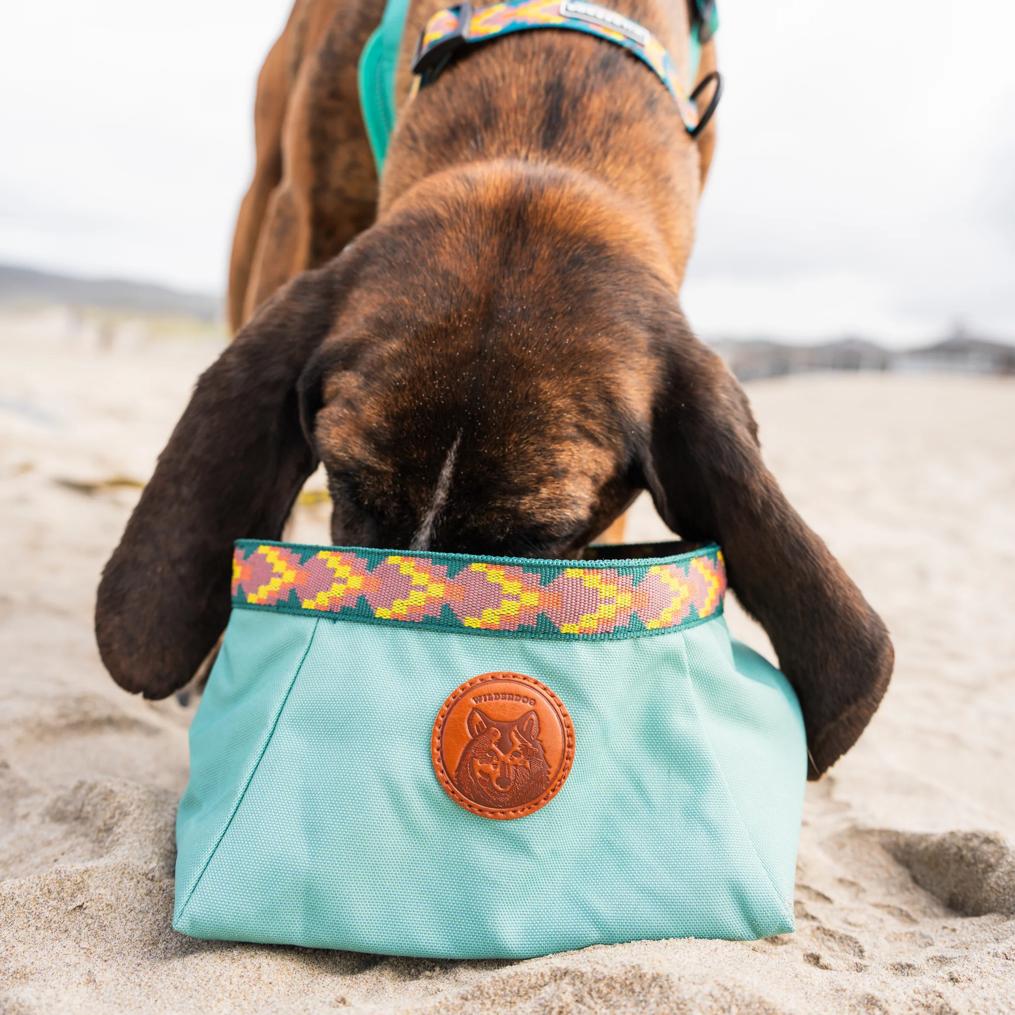 Backpacking Bowl - Image 8