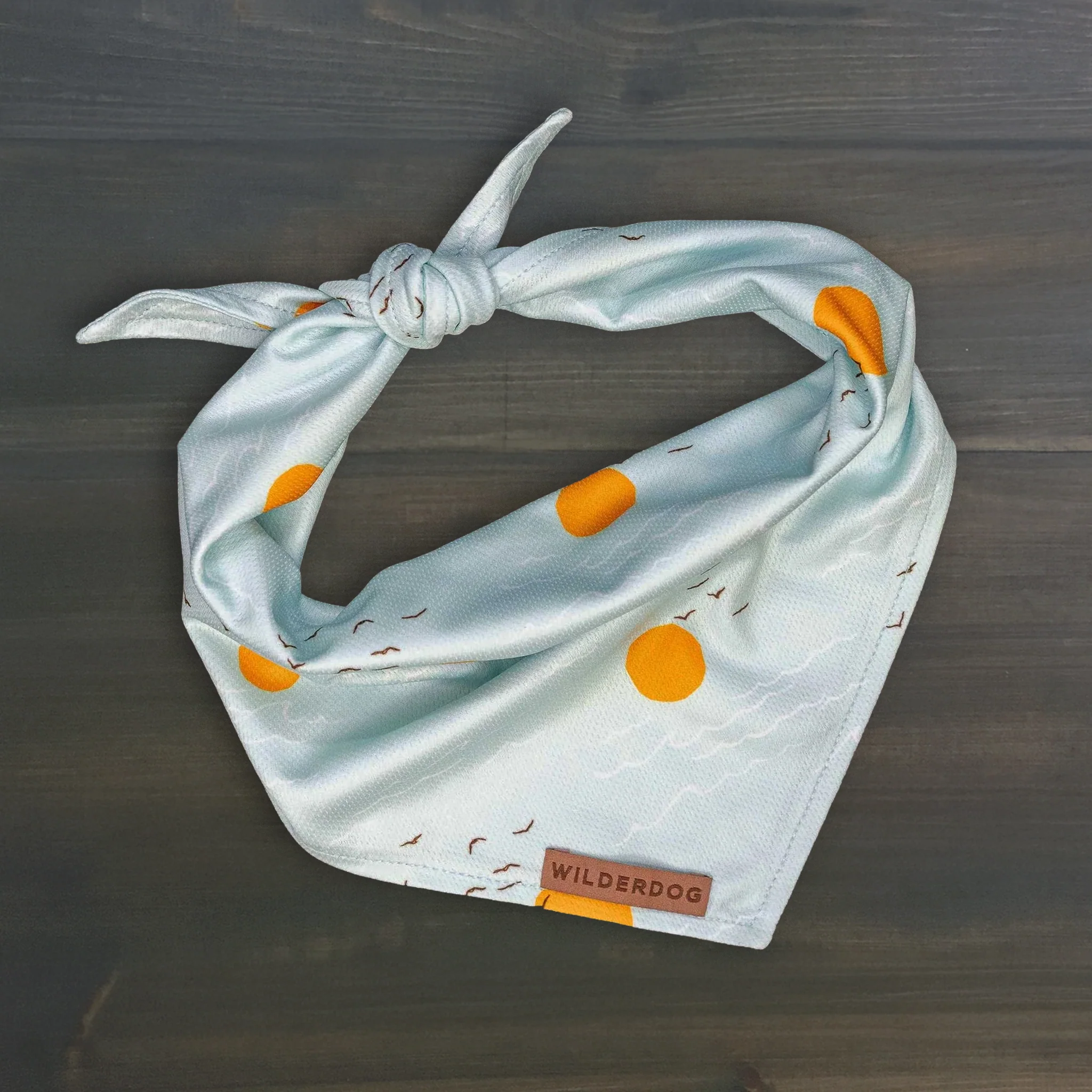 Barnegat Bandana
