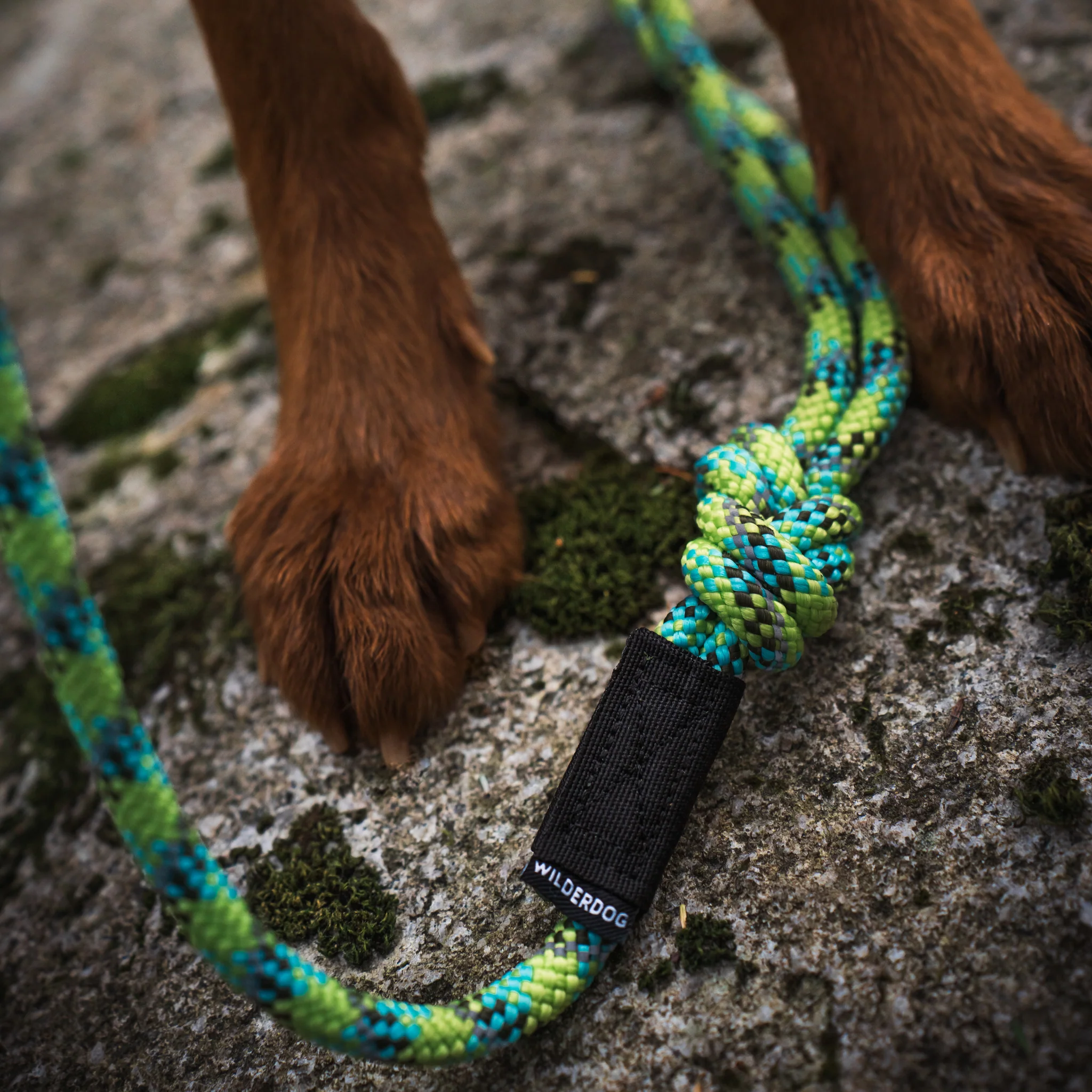 Big Carabiner Rope Leash - Image 4