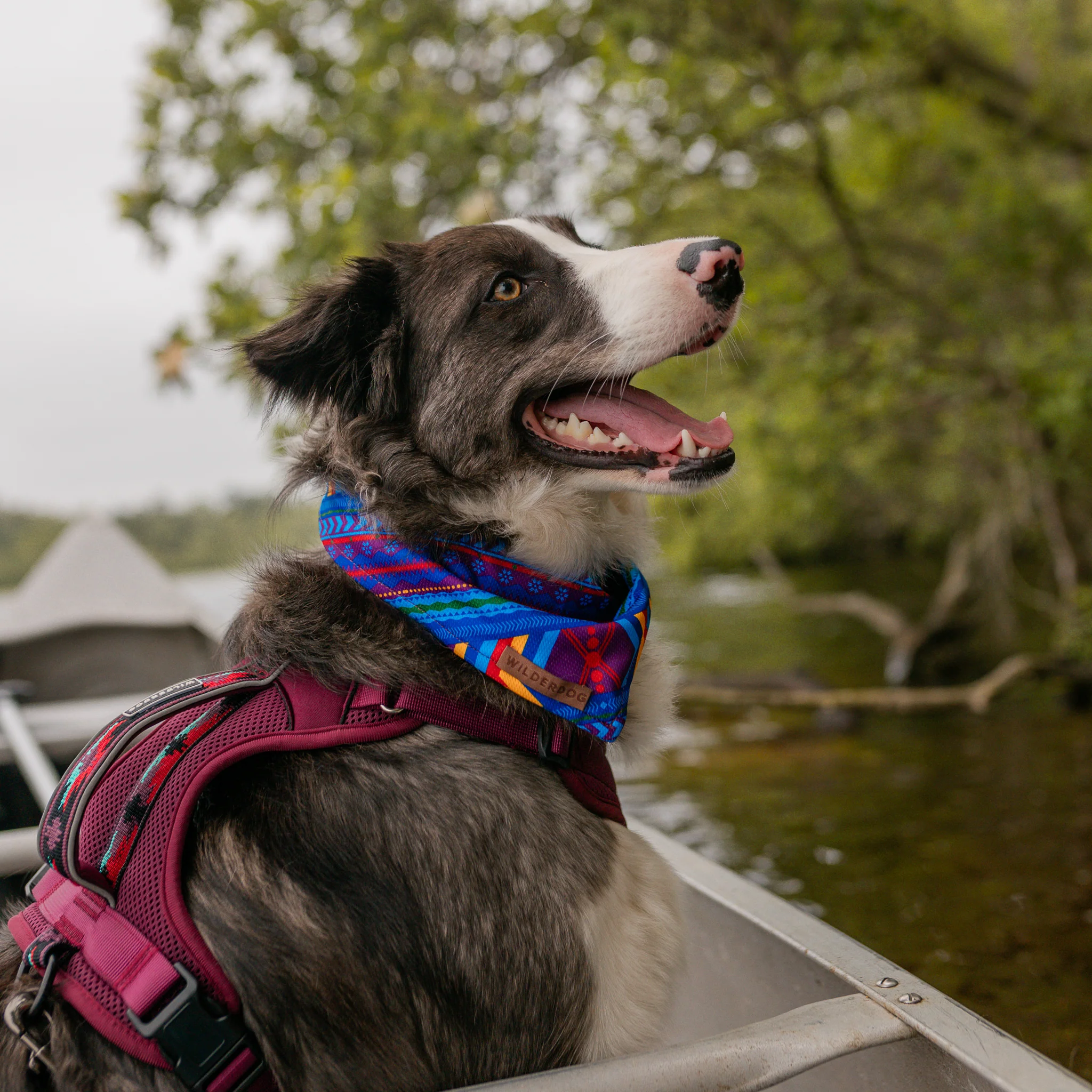 Big Sky Bandana - Image 3