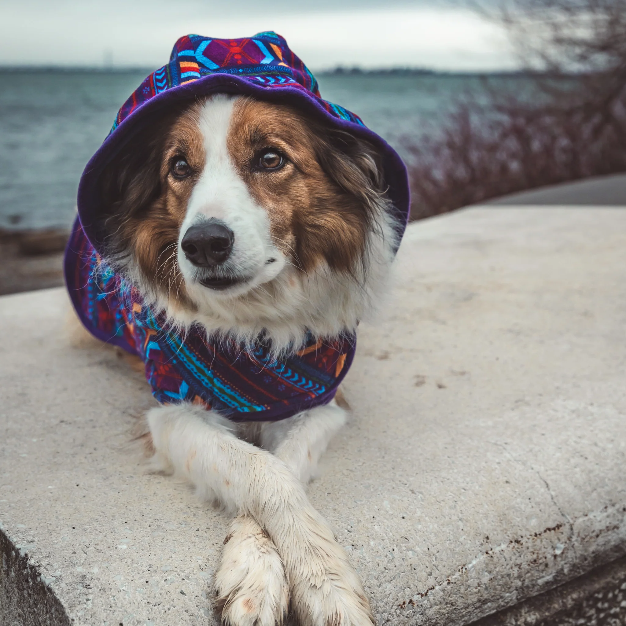 Big Sky Fleece Jacket - Image 4