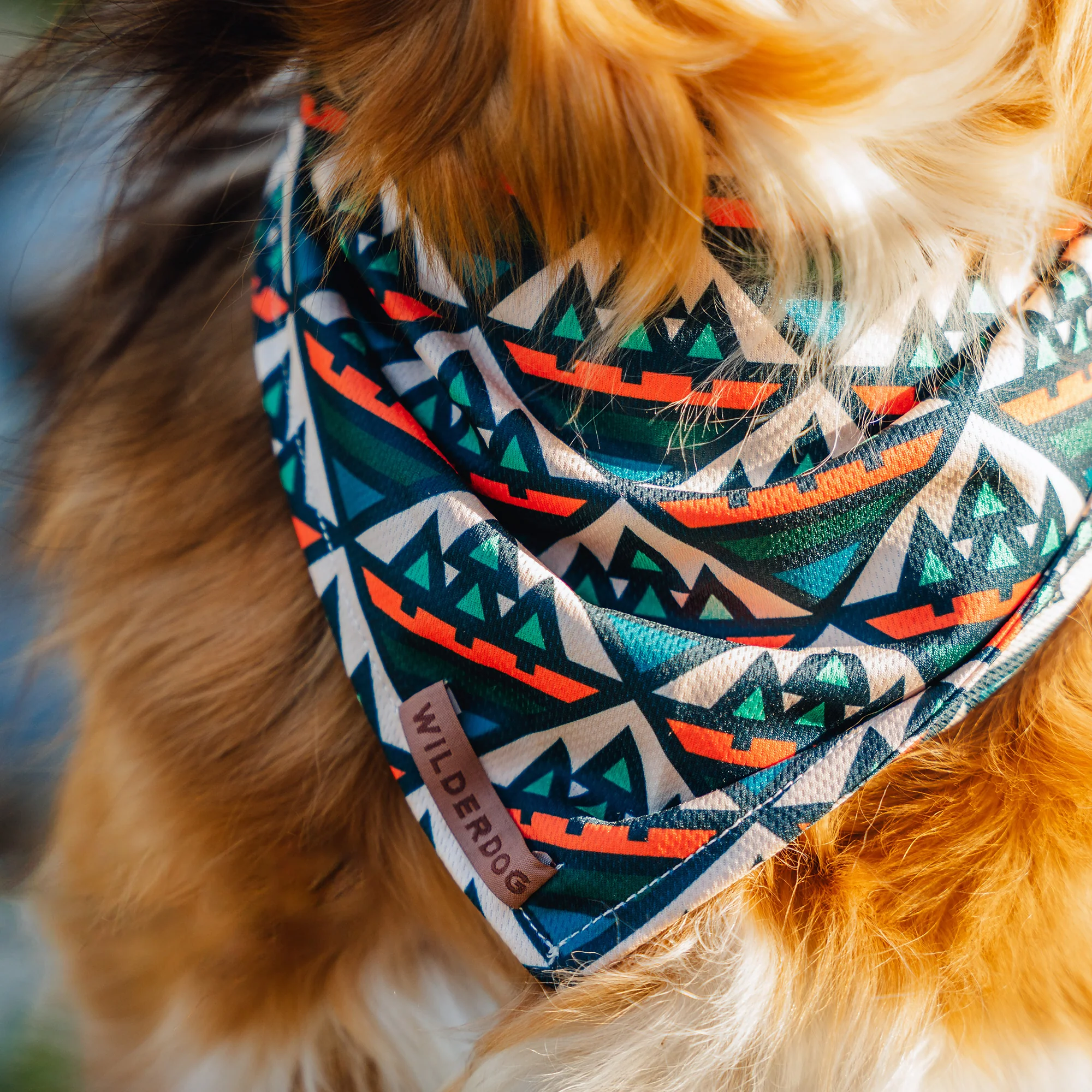 Camp Bandana - Image 3