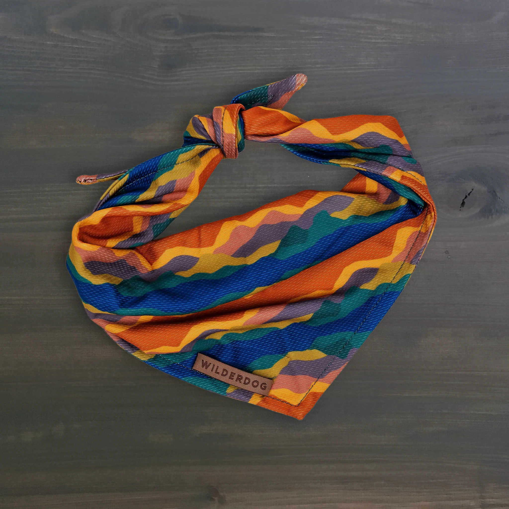 Canyon Bandana