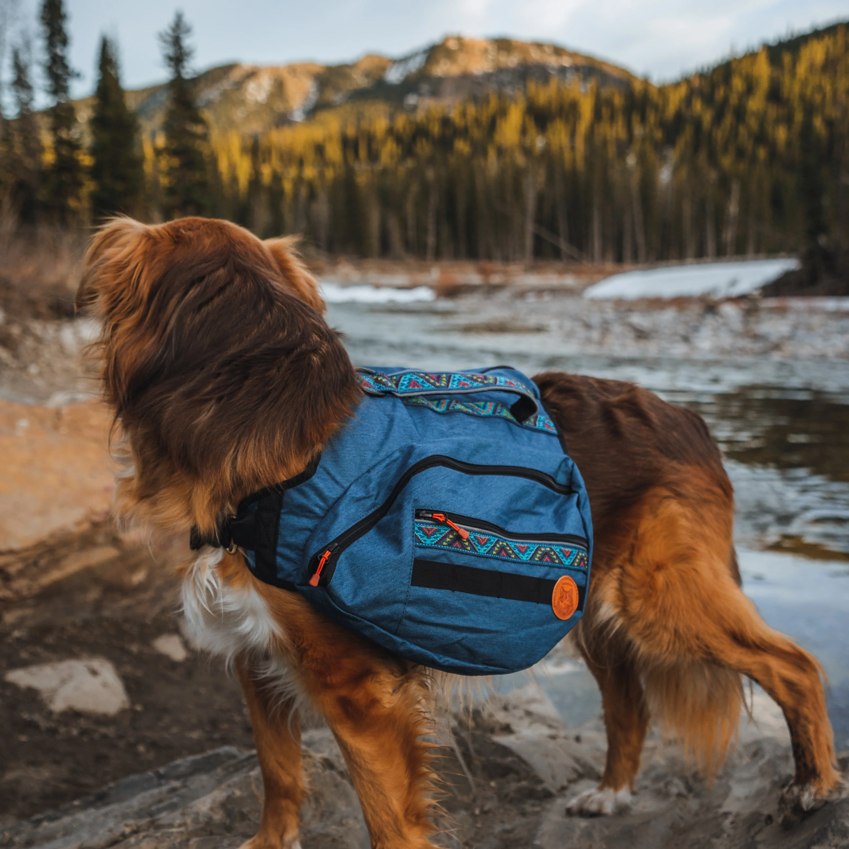 Dog Backpack - Image 10