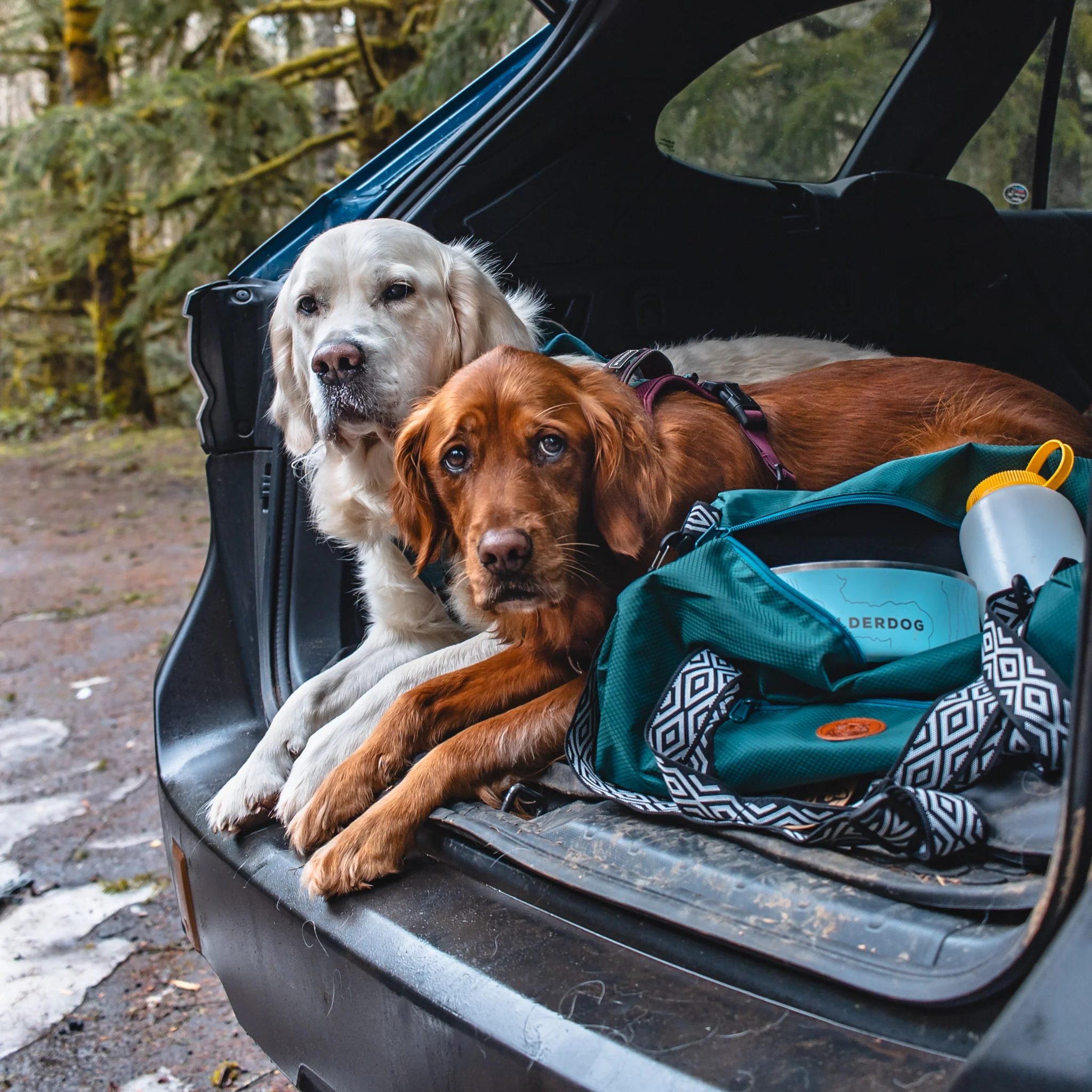 Dog Duffel - Image 5