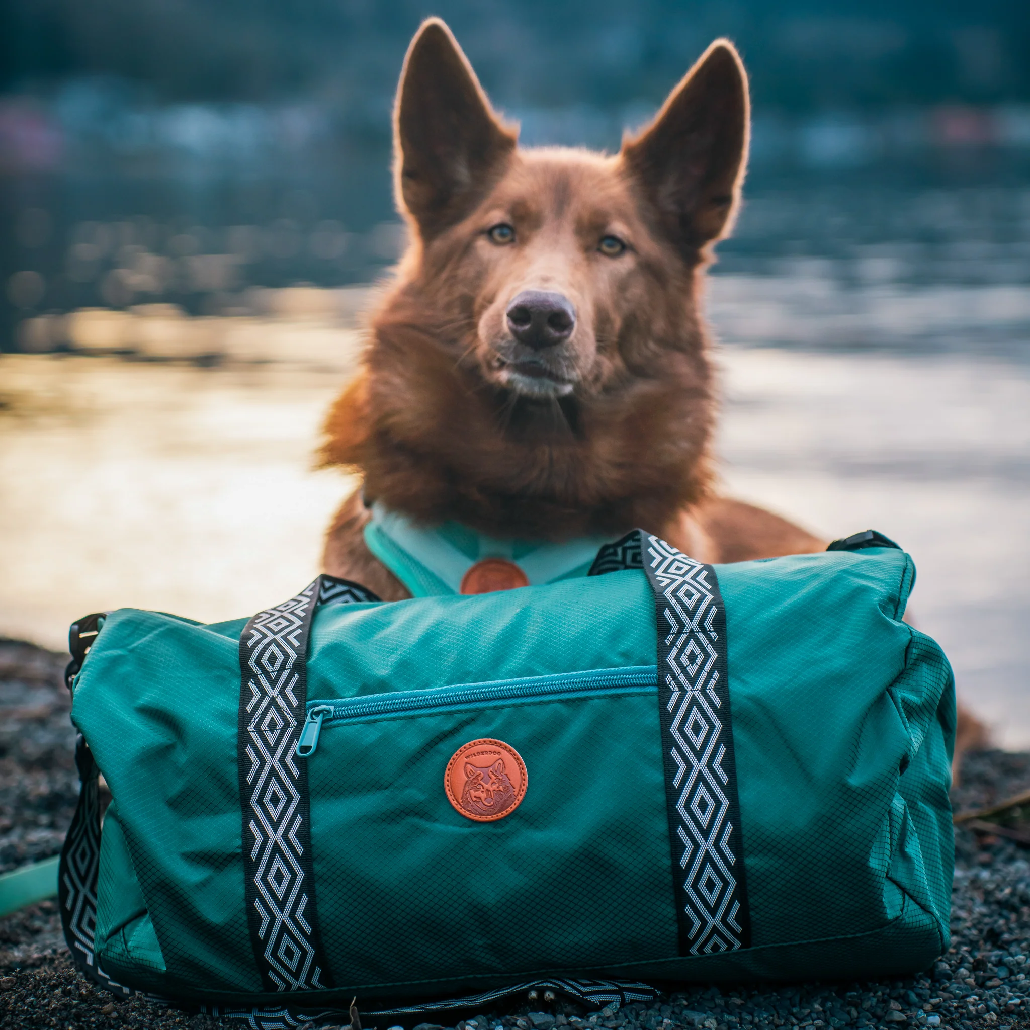 Dog Duffel - Image 7