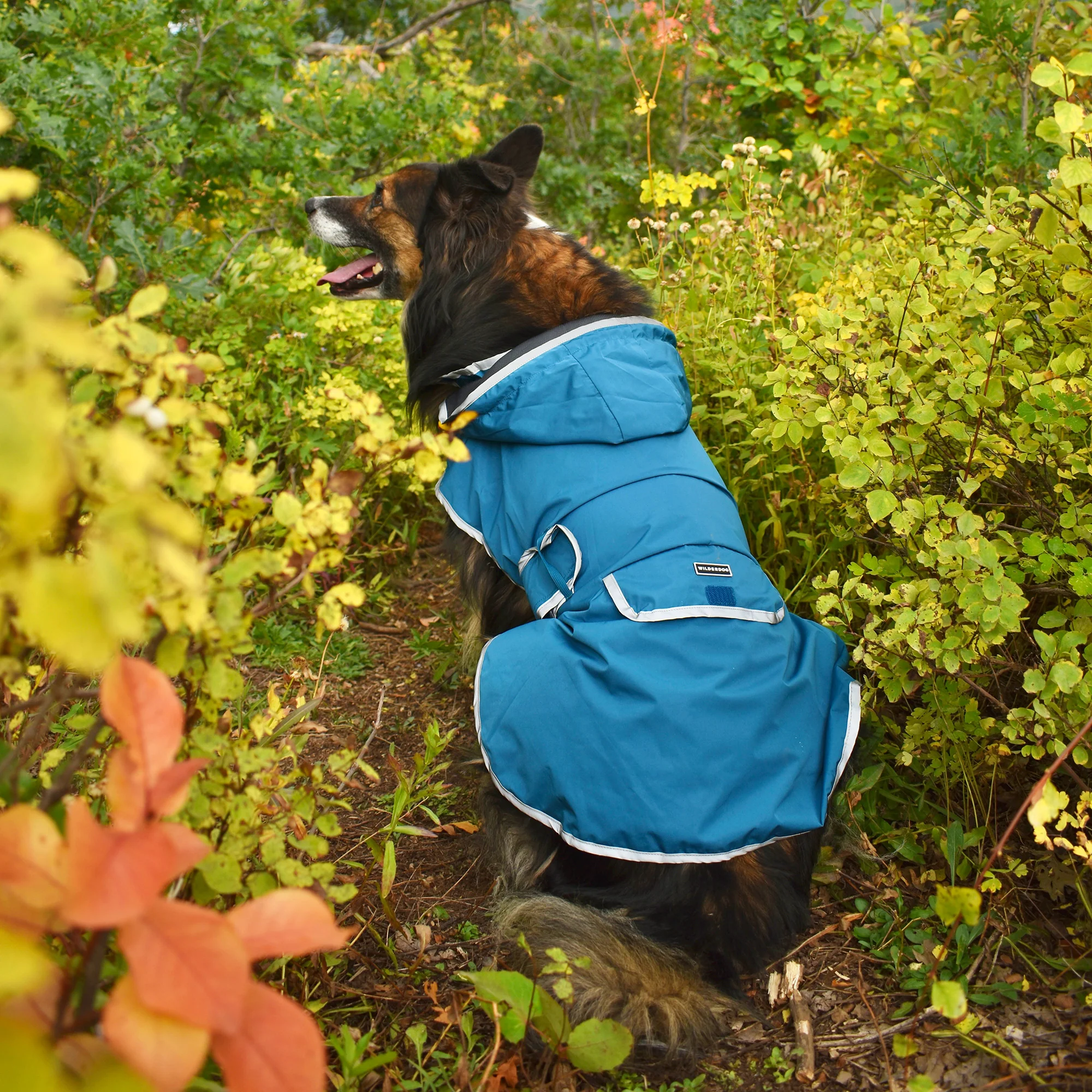 Dog Rain Jacket - Image 11