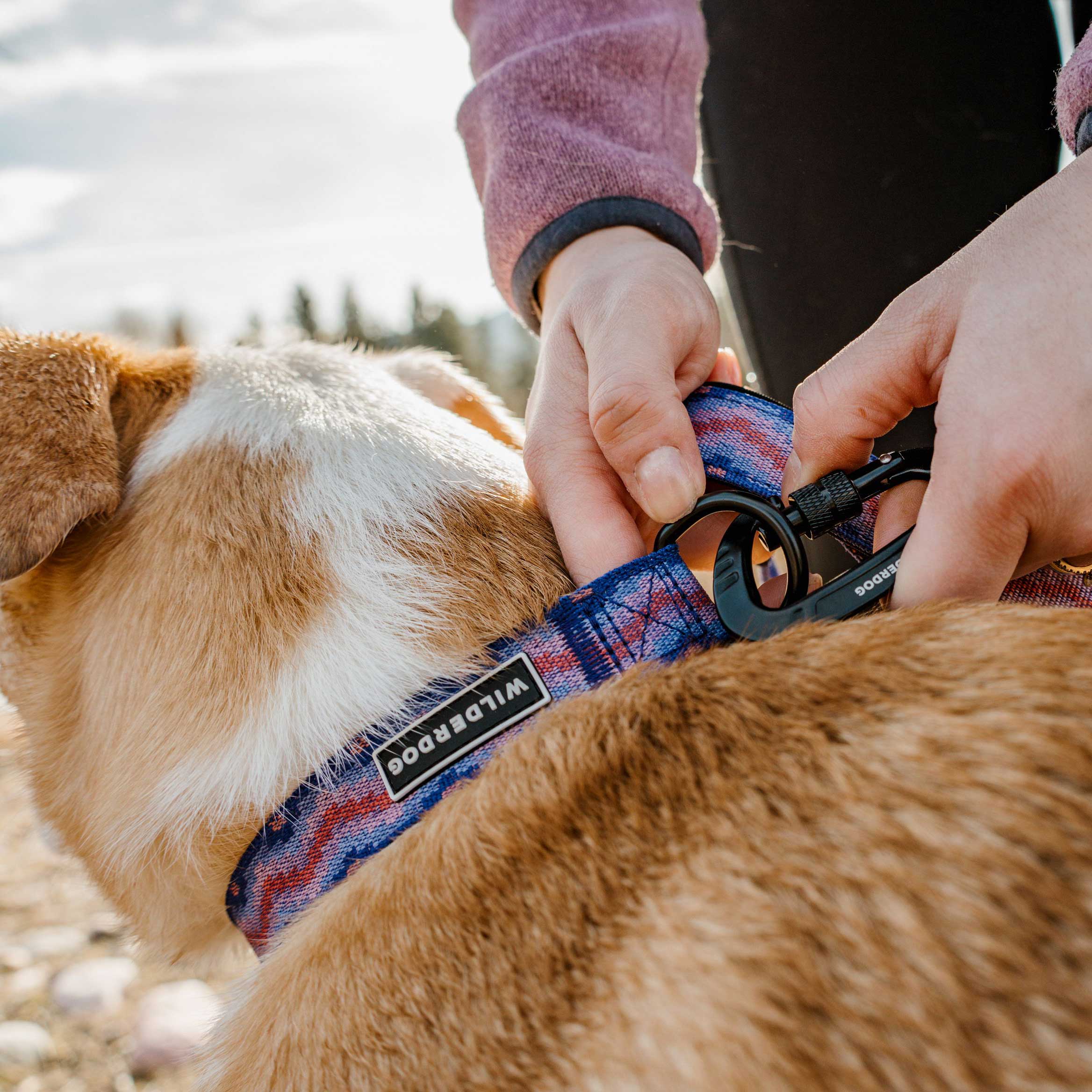 Fireweed Ultralight Collar - Image 2