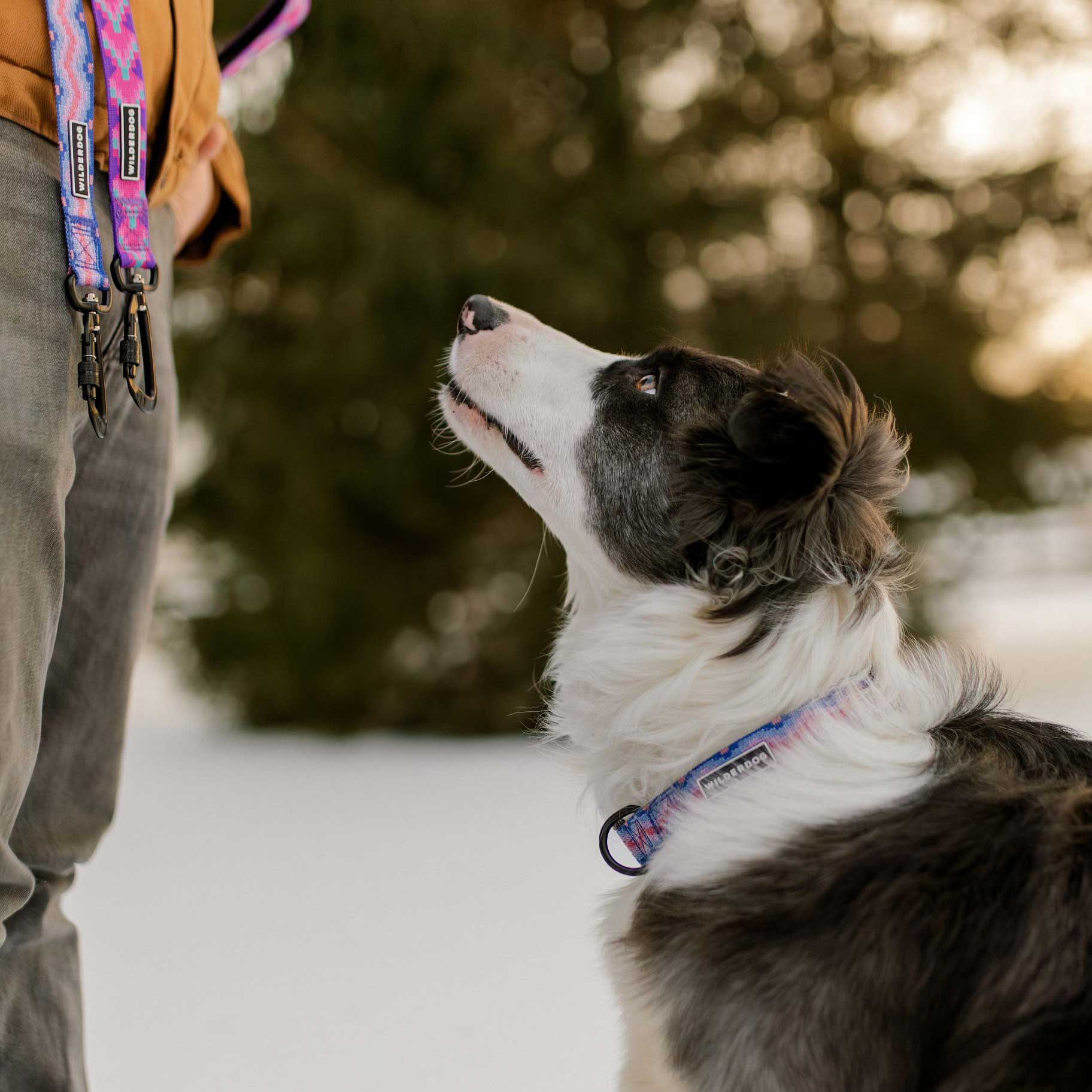 Fireweed Ultralight Collar - Image 4