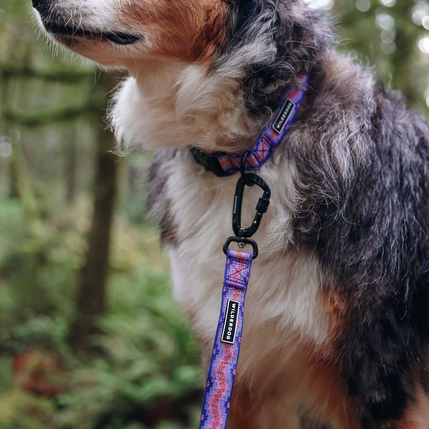 Fireweed Ultralight Collar - Image 5