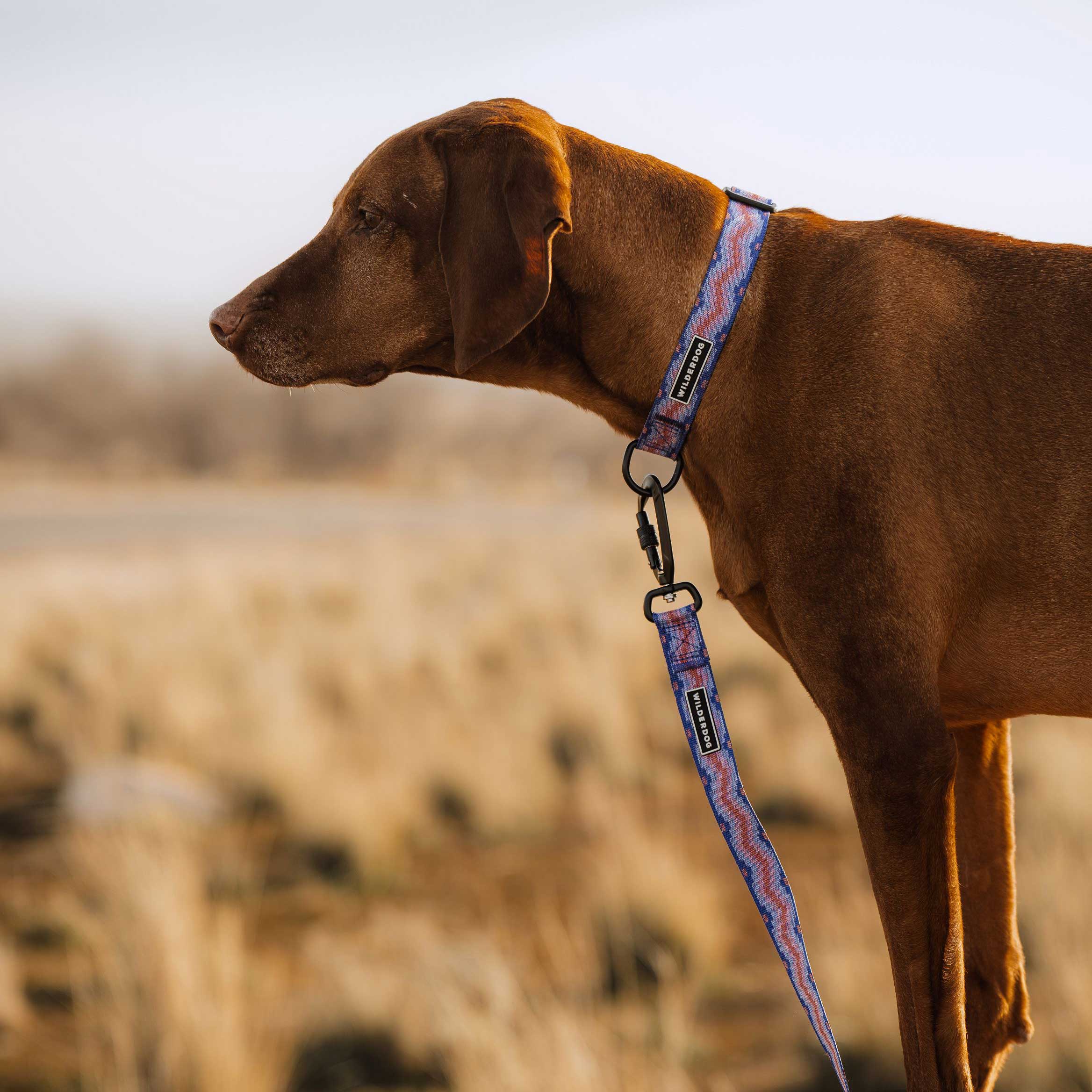Fireweed Ultralight Leash - Image 7