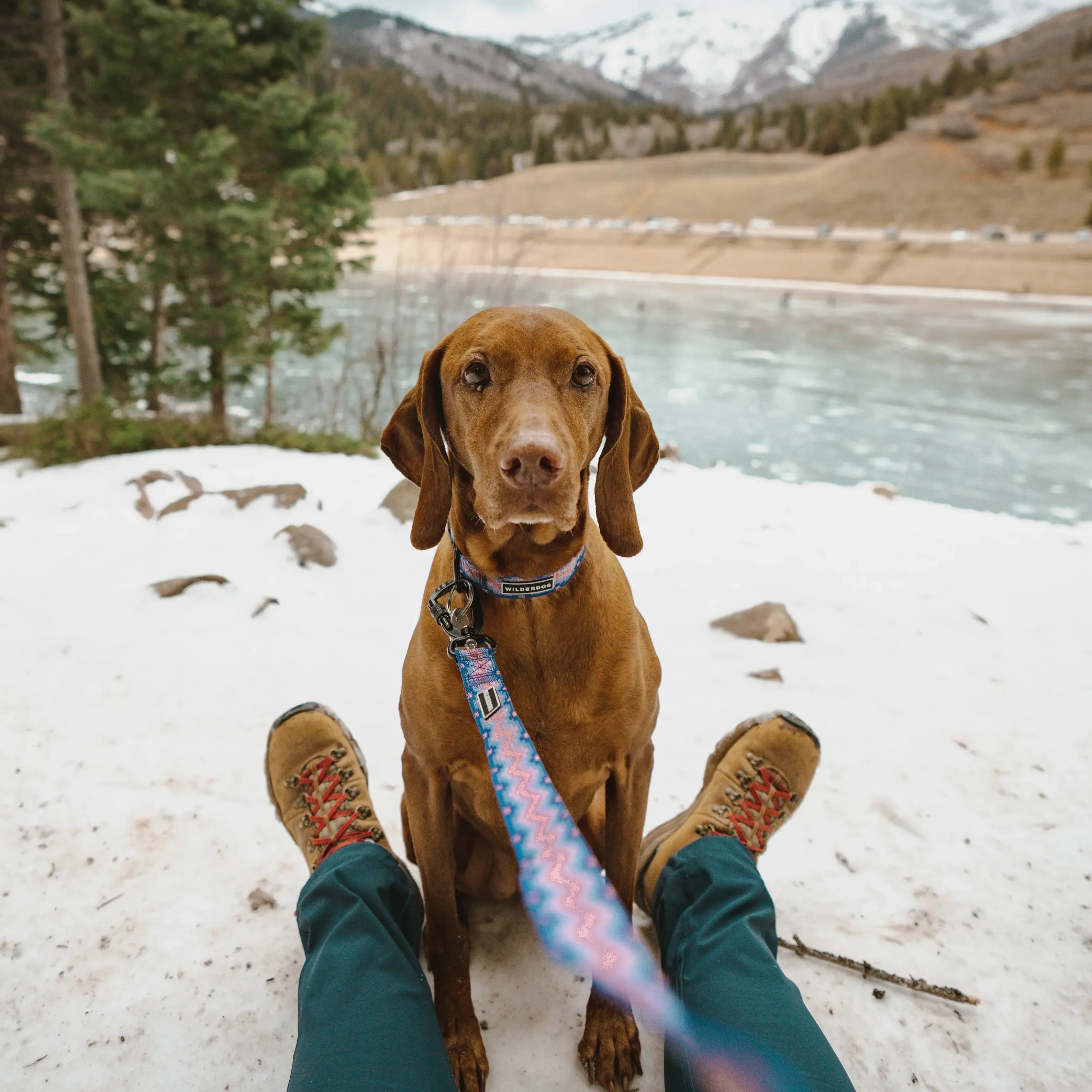 Fireweed Ultralight Leash - Image 8