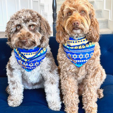 Hanukkah Bandana - Image 2