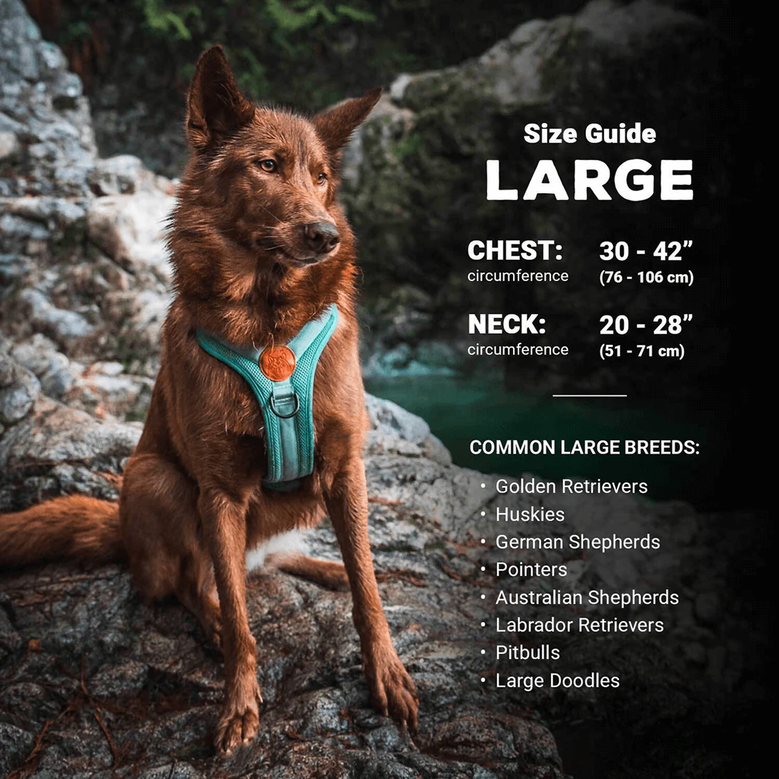 Dog Harness - Image 21
