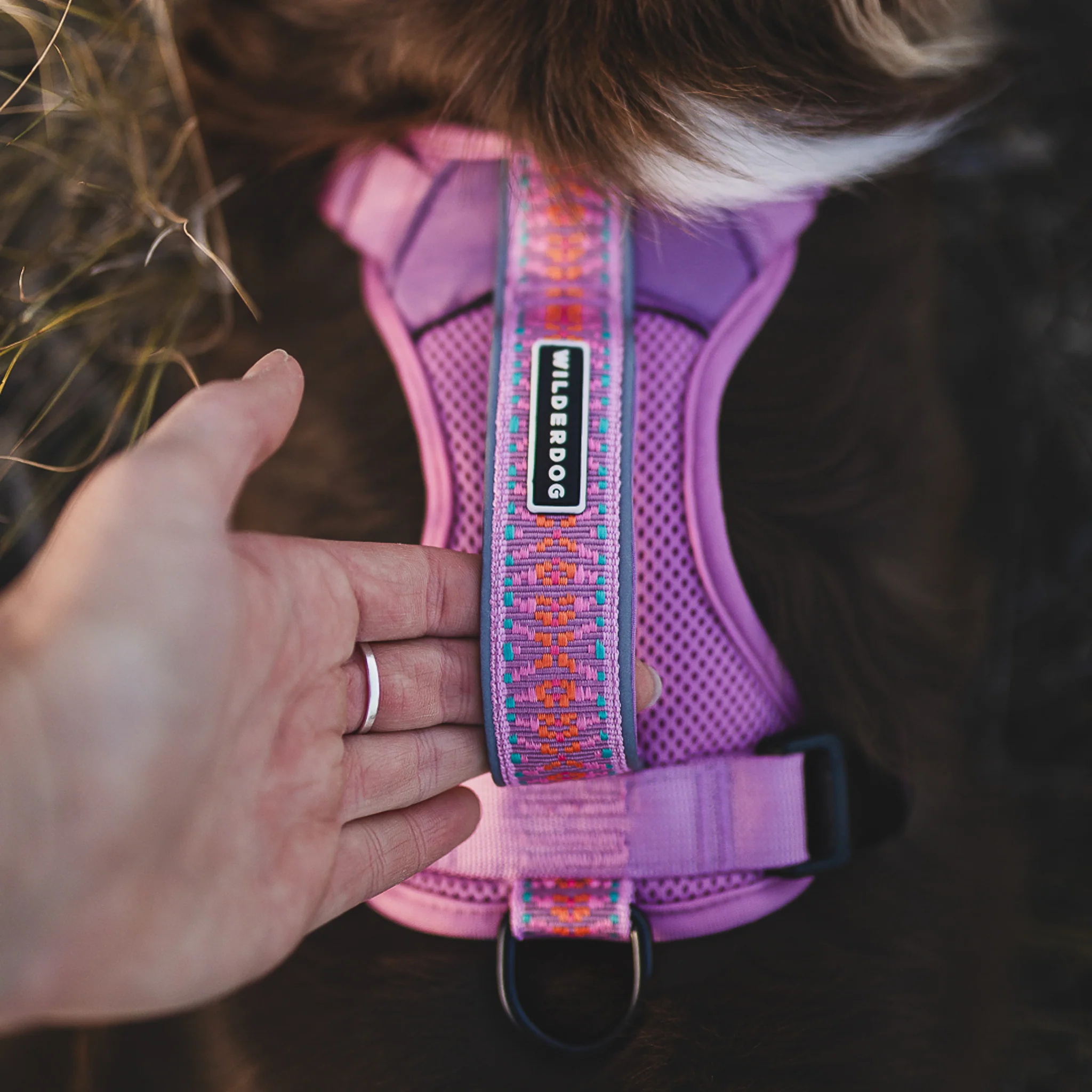 Dog Harness - Image 3