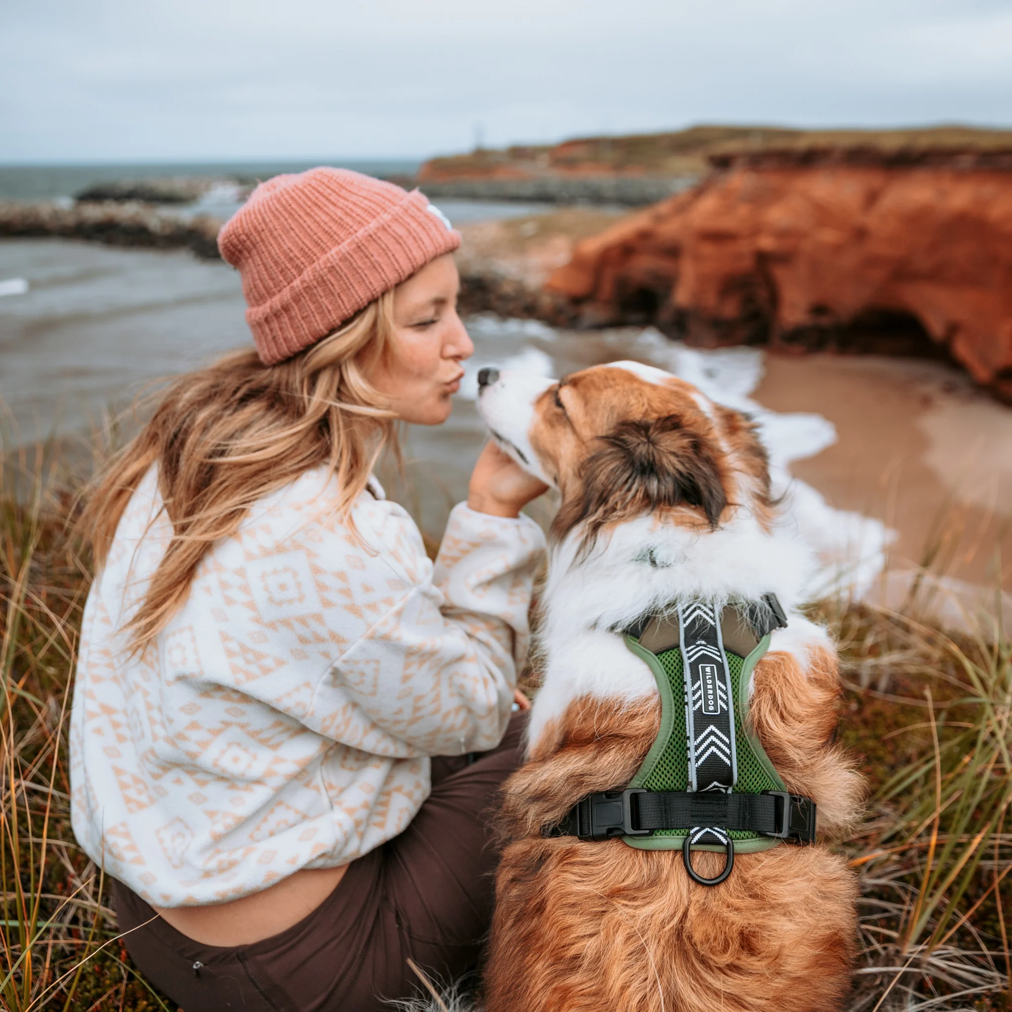 Dog Harness - Image 4