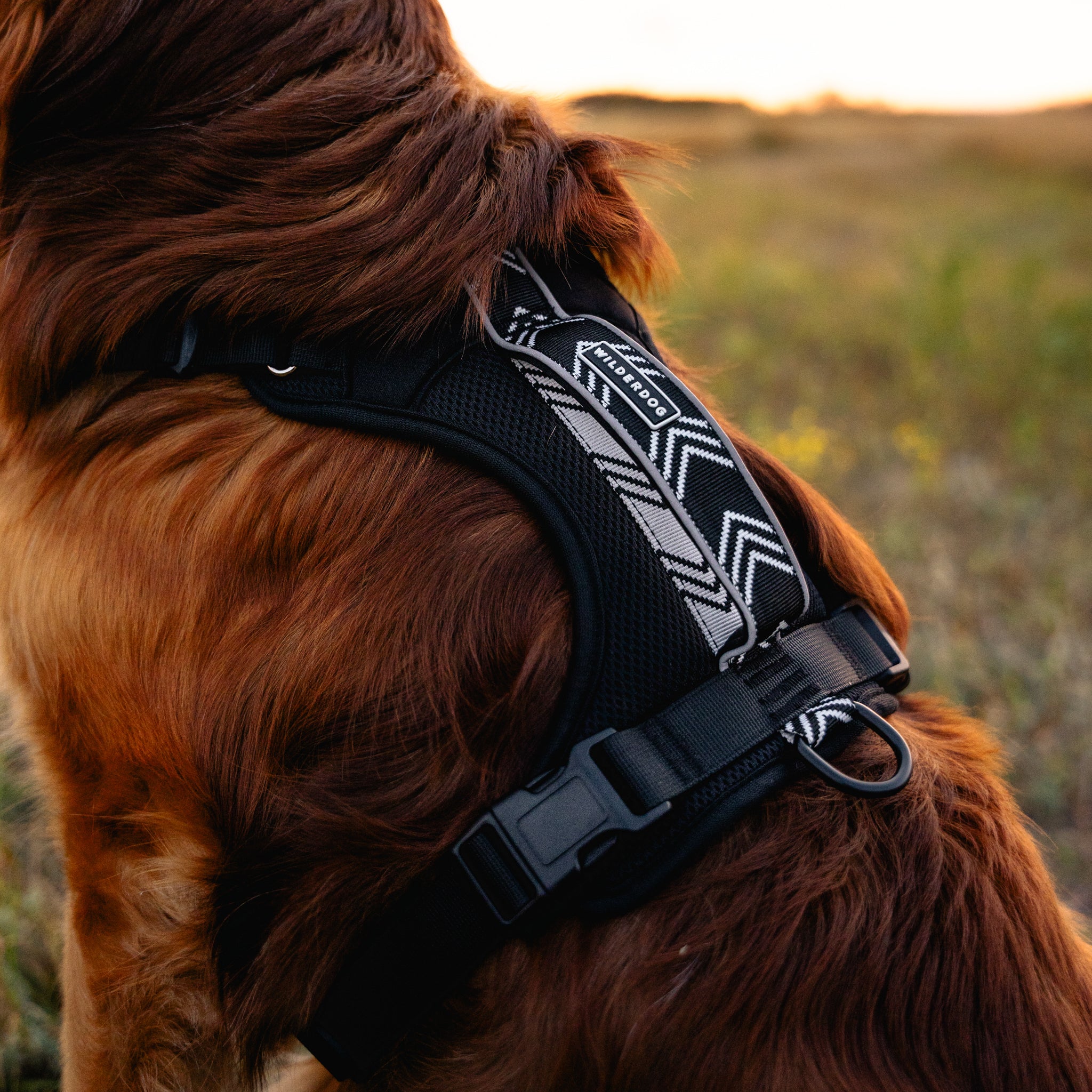 Dog Harness - Image 5