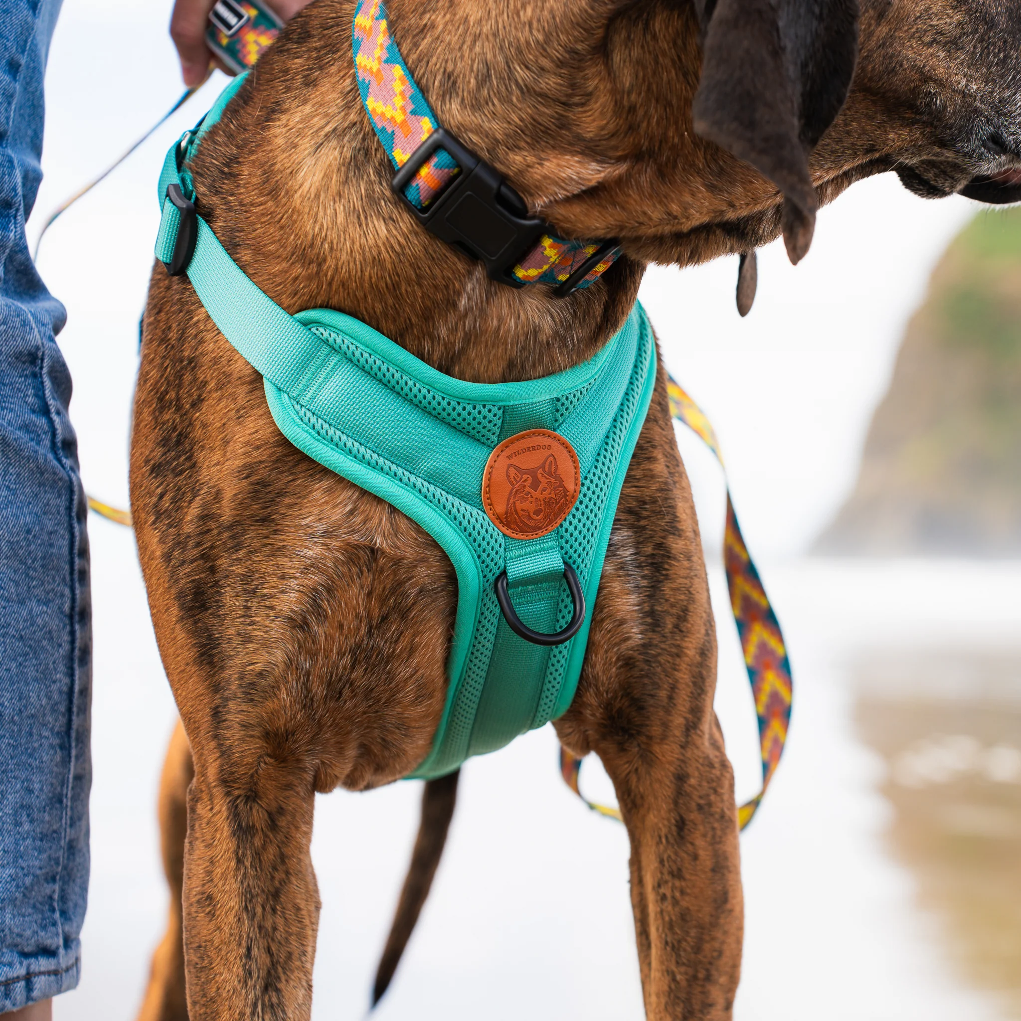 Dog Harness - Image 6