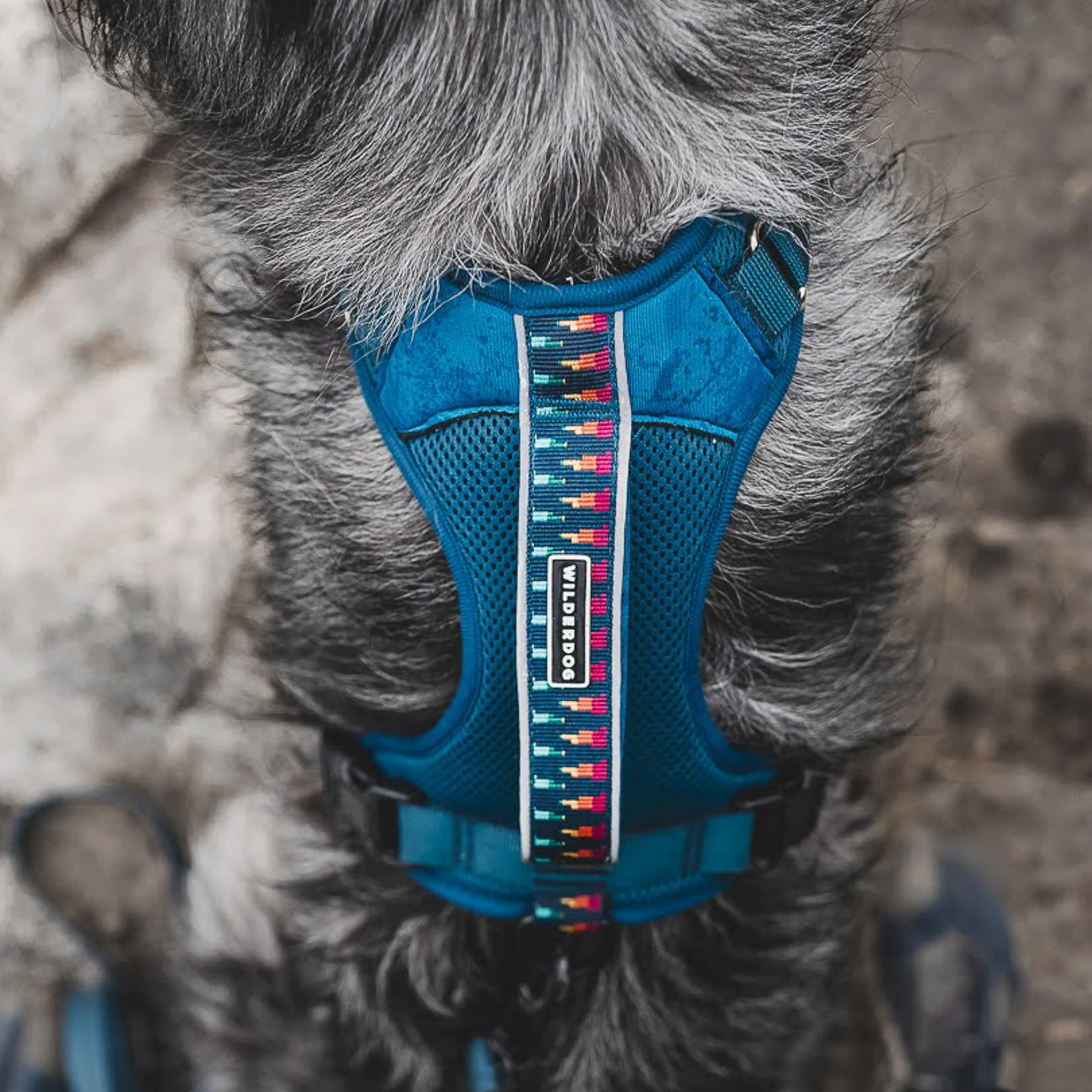 Dog Harness - Image 7