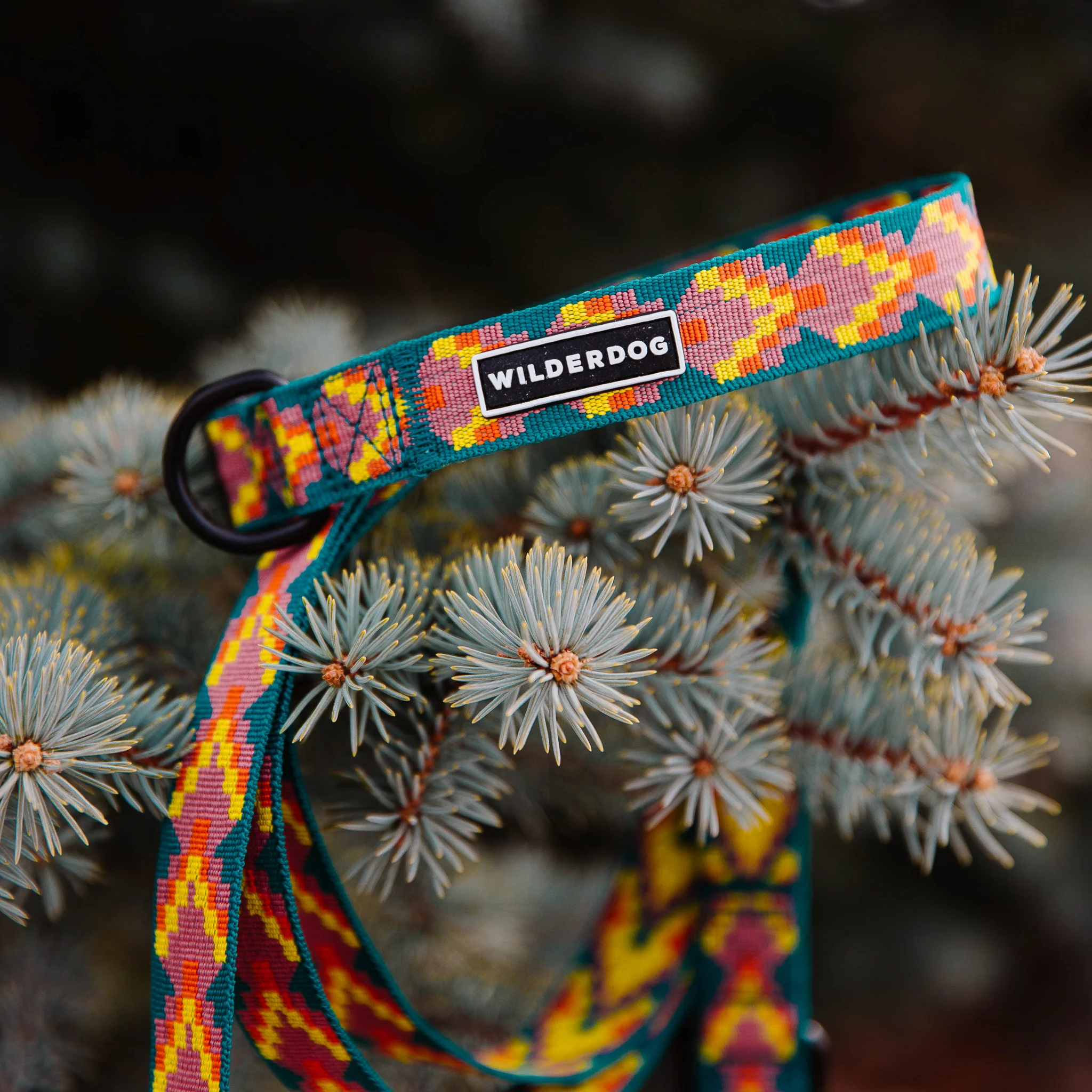Havasu Ultralight Collar - Image 3