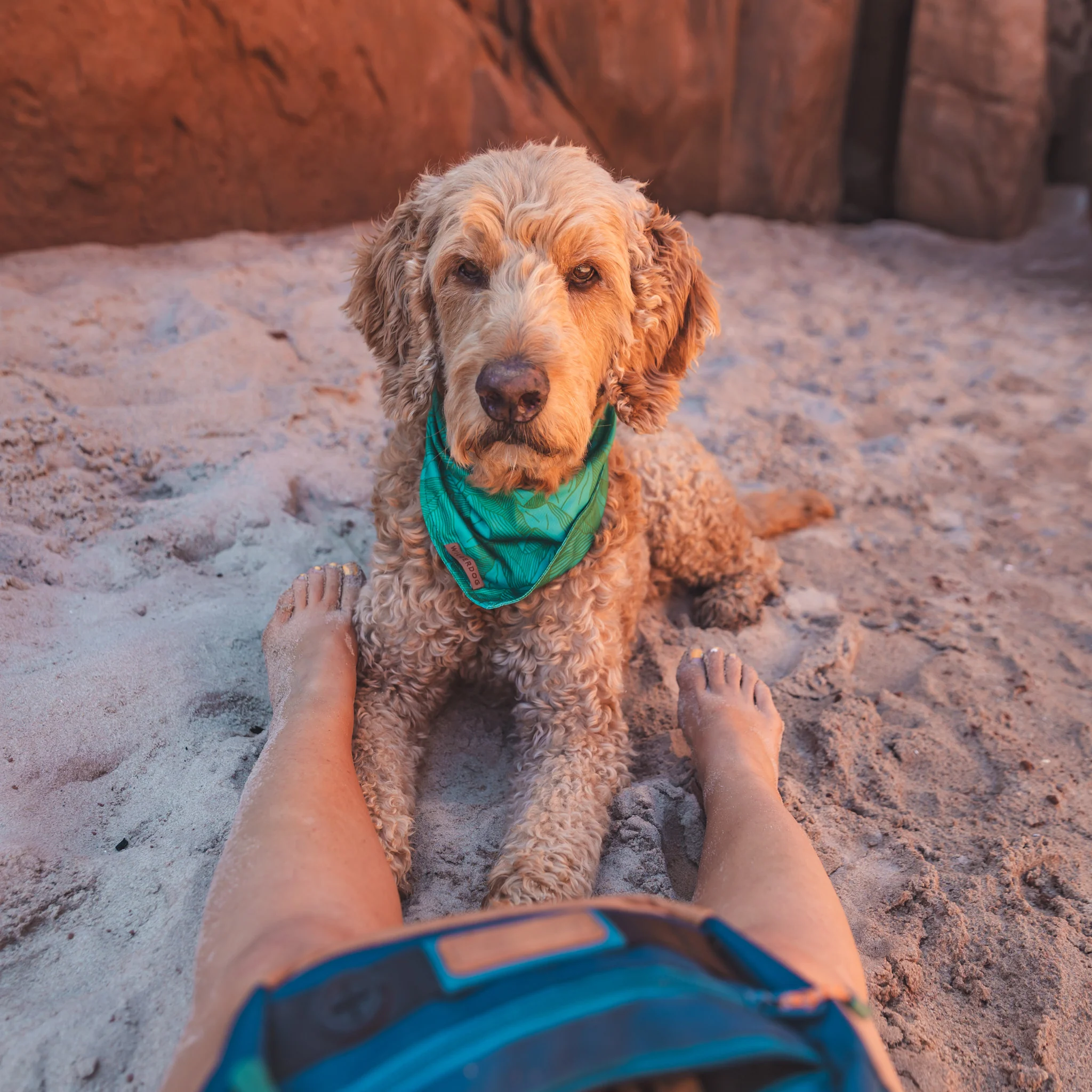 Juniper Bandana - Image 3