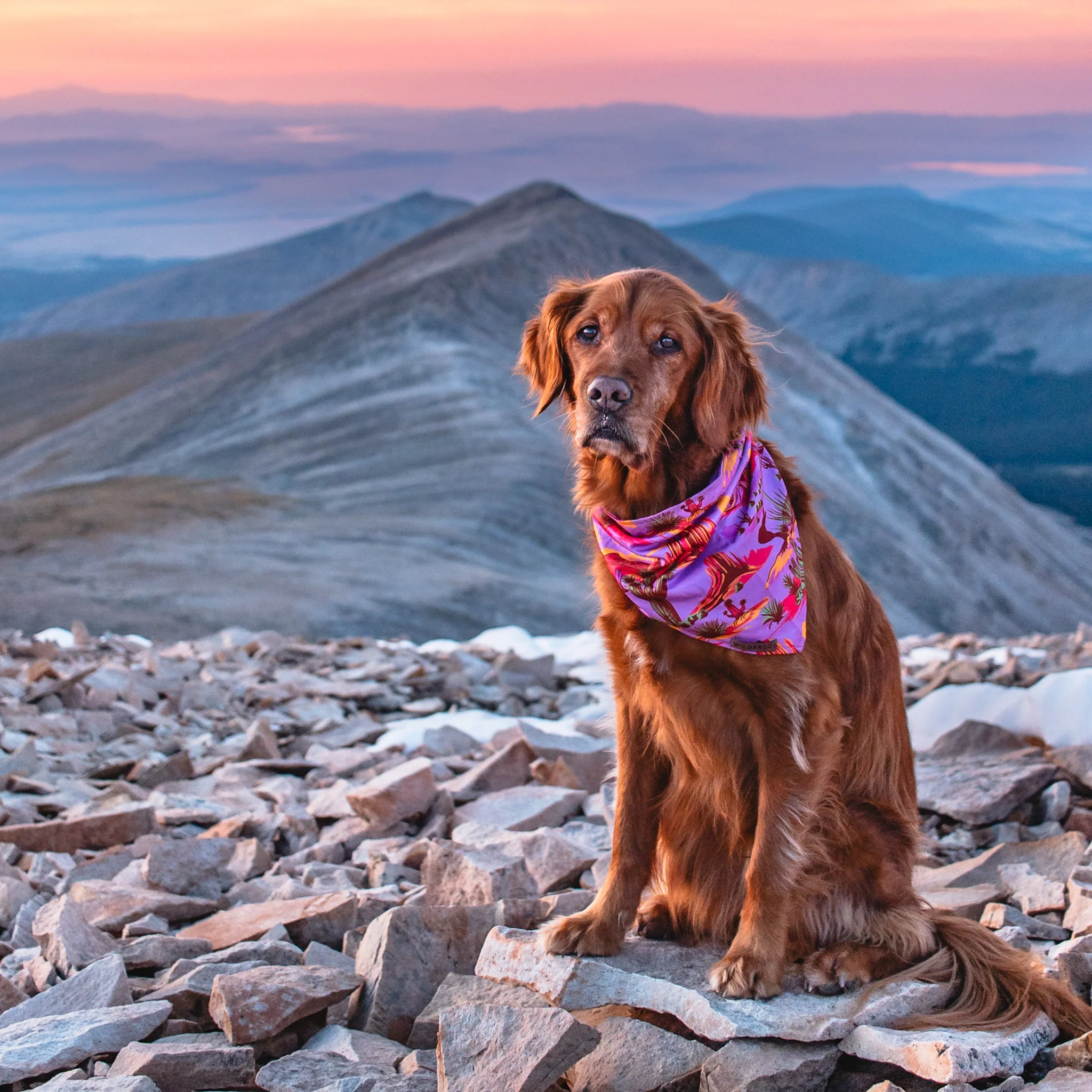 Laramie Bandana - Image 2