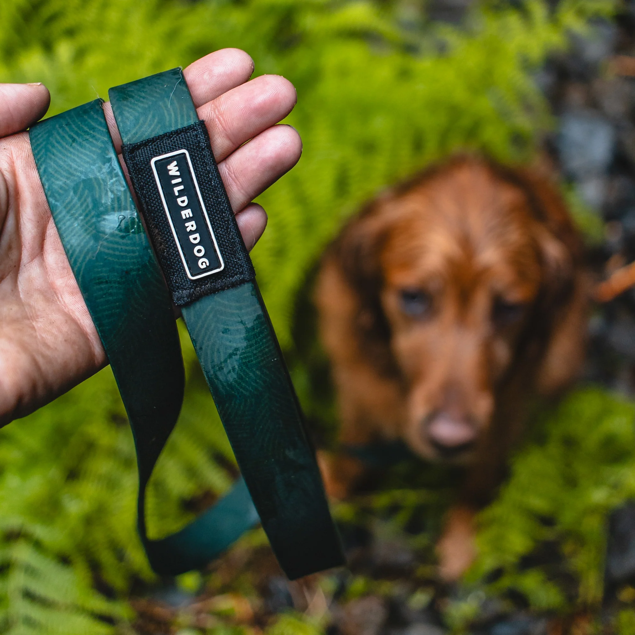 Cedar Waterproof Leash - Image 4