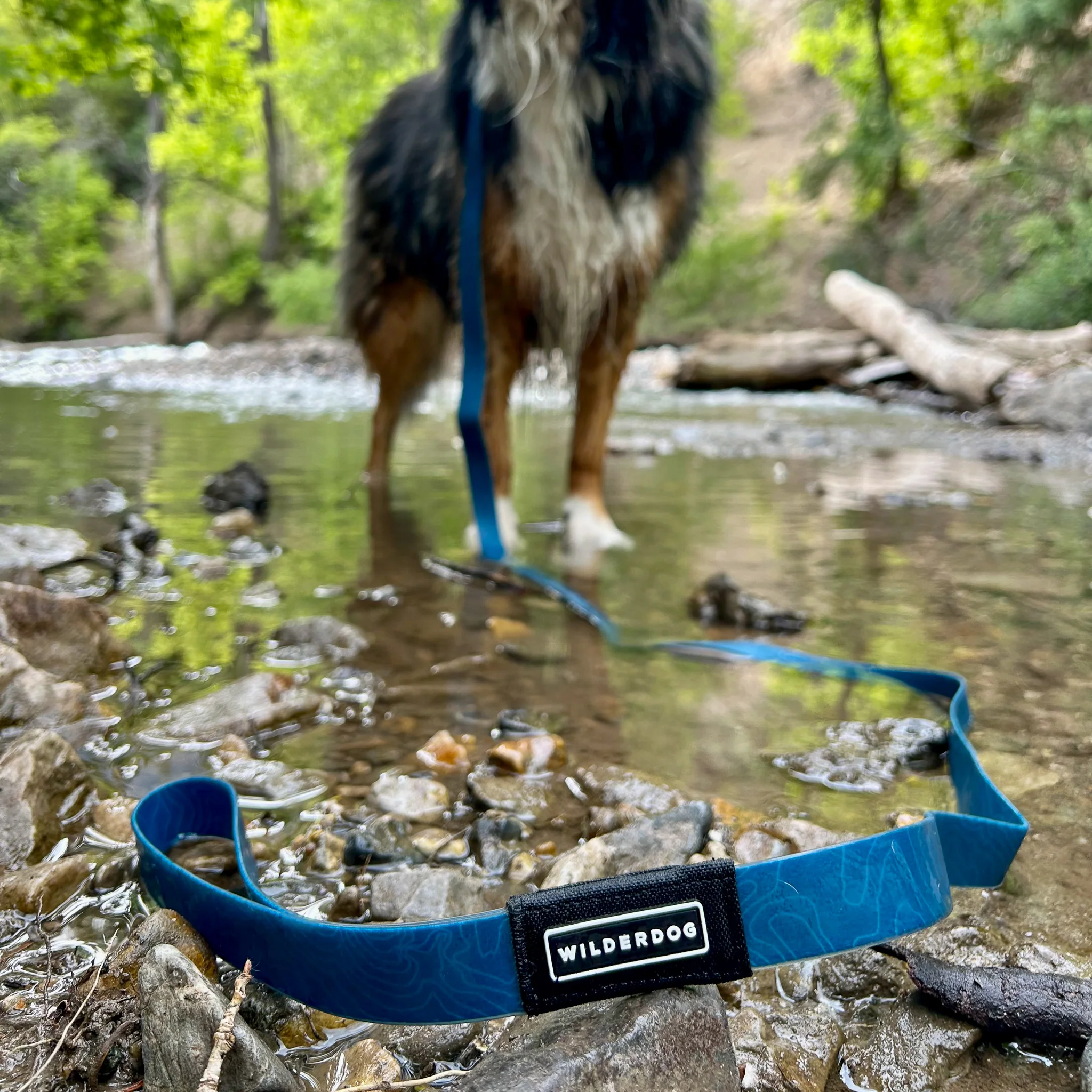 Pacific Blue Waterproof Leash - Image 7