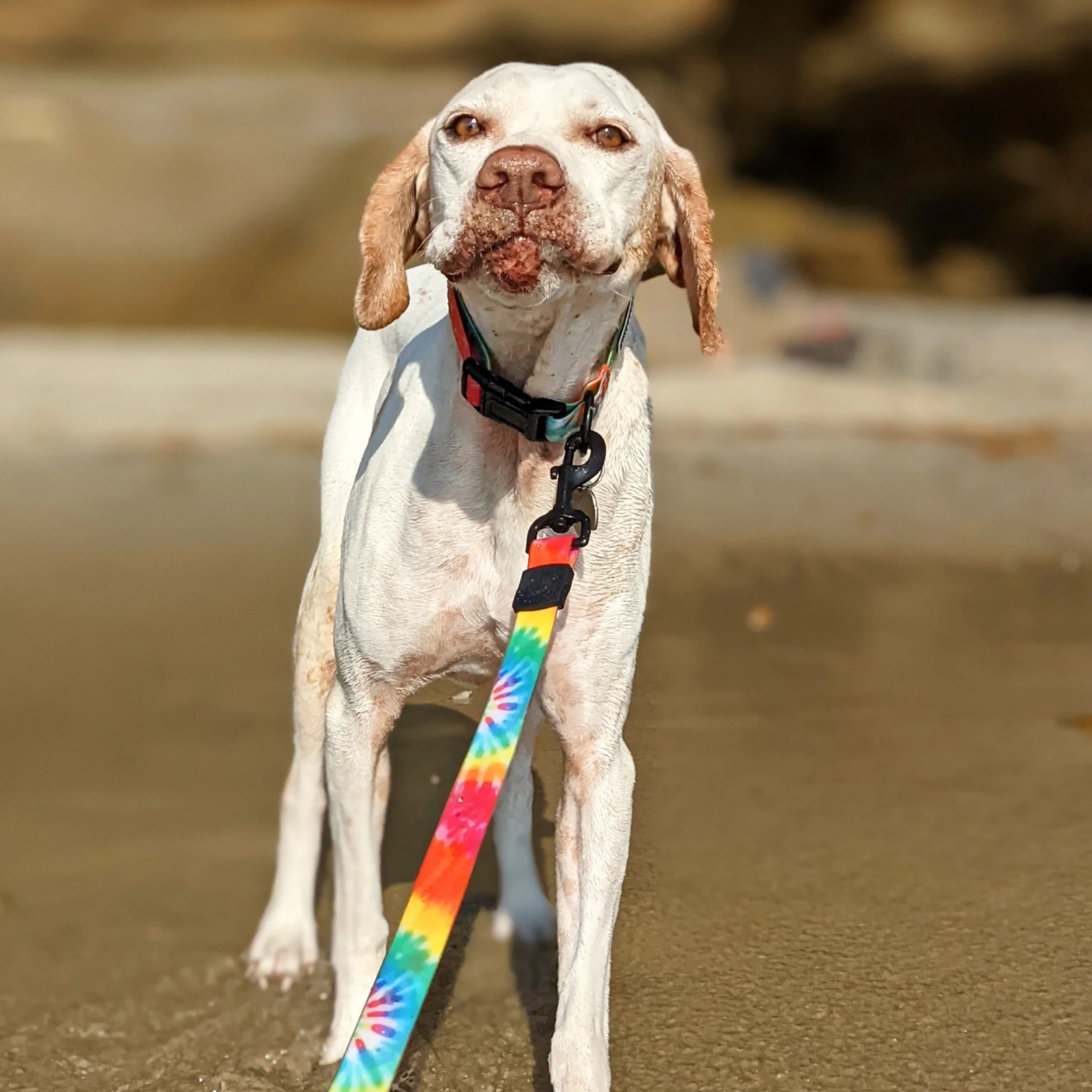 Tie Dye Waterproof Leash - Image 3
