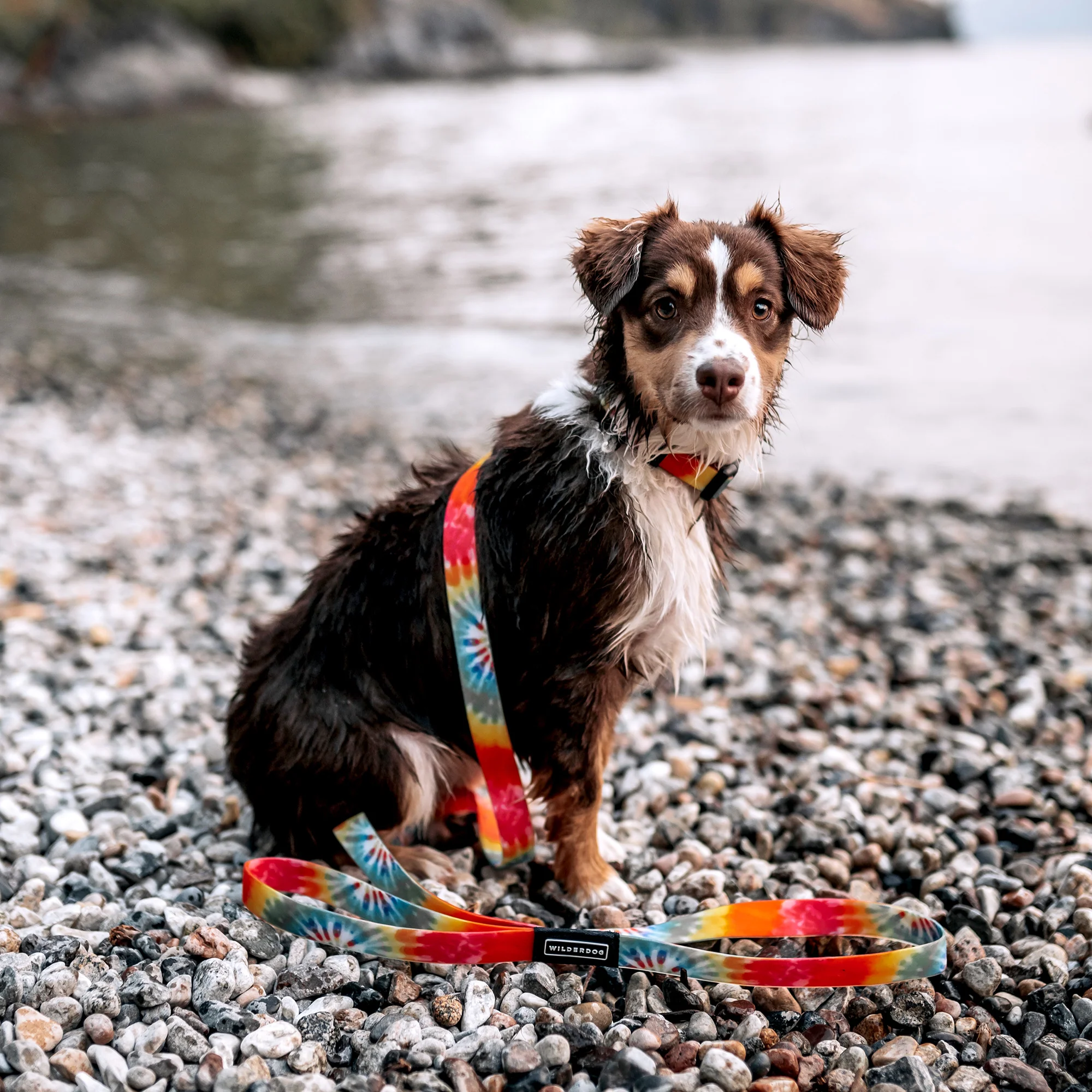 Tie Dye Waterproof Leash - Image 7