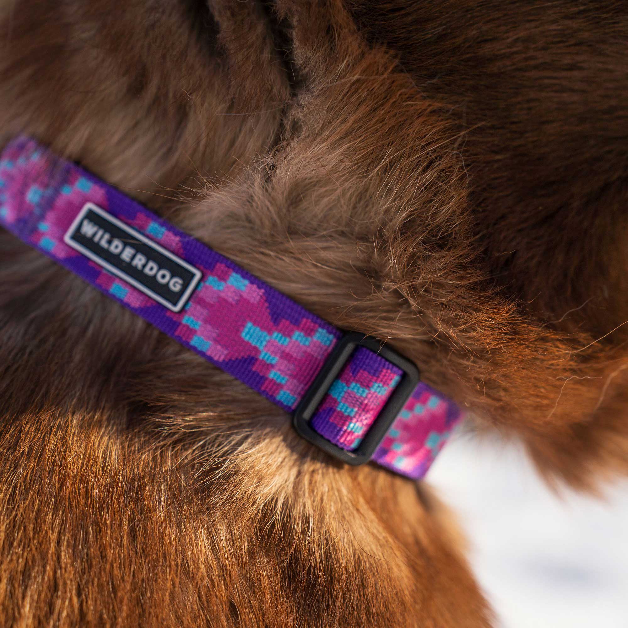 Lupin Ultralight Collar - Image 2