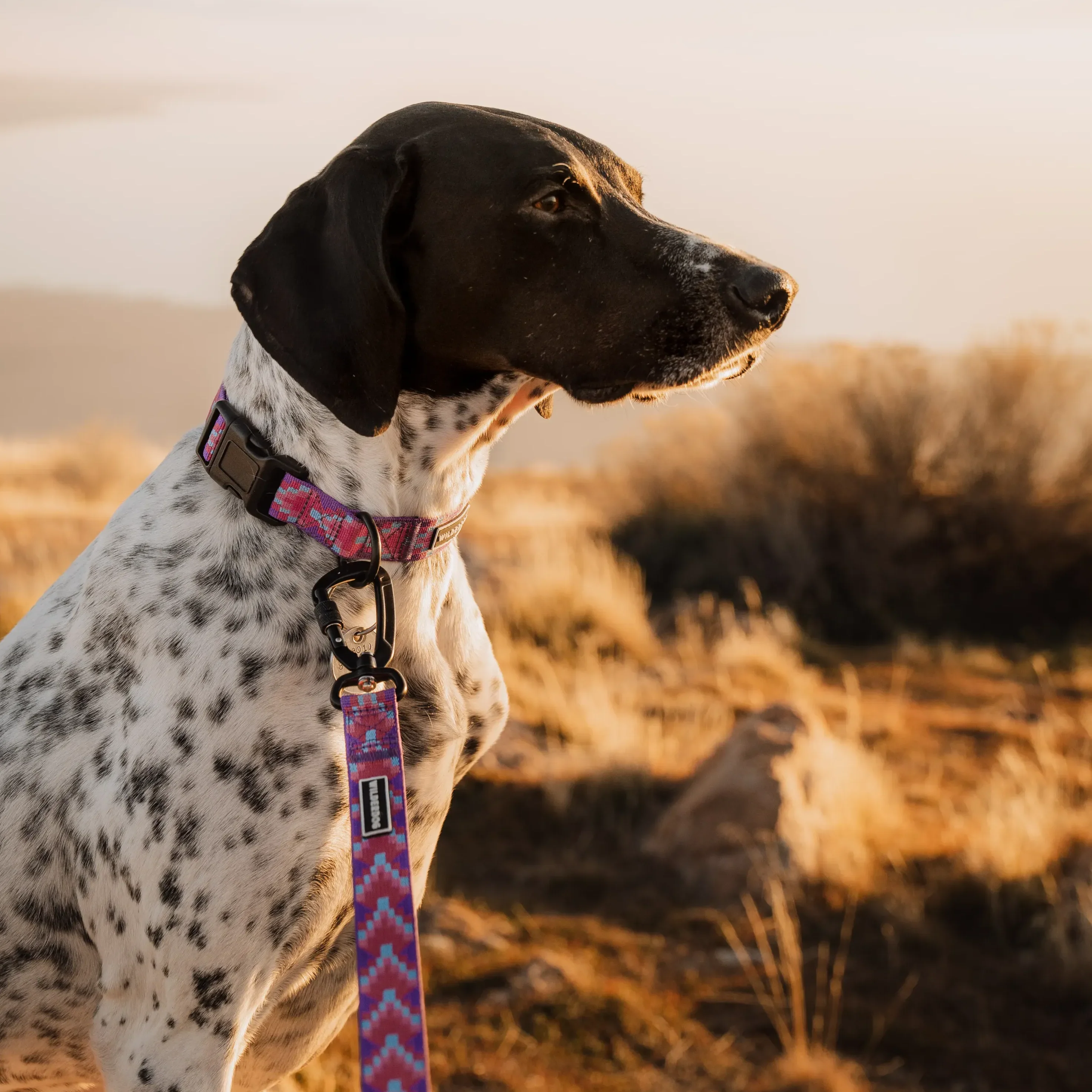 Lupin Ultralight Collar - Image 3