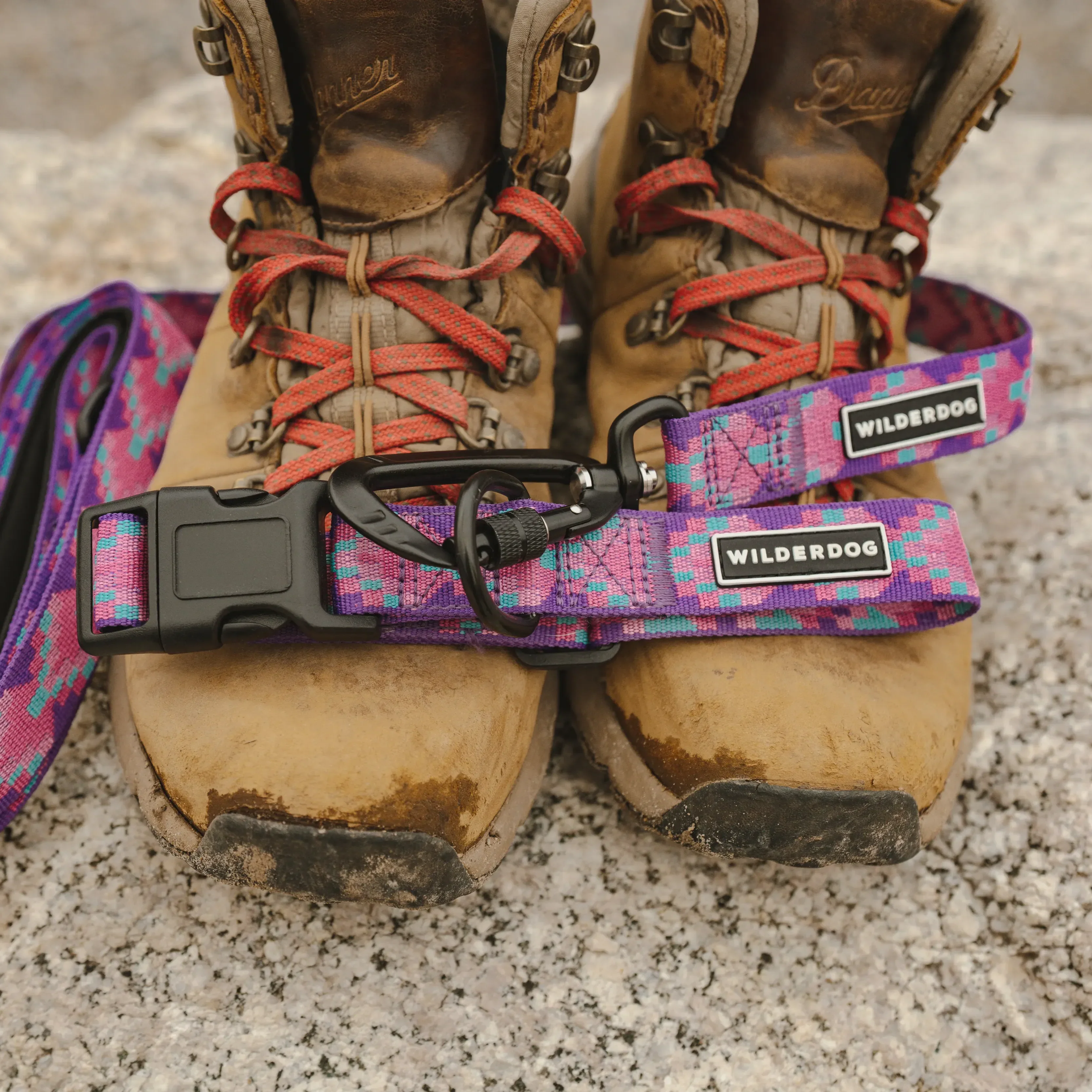 Lupin Ultralight Collar - Image 5