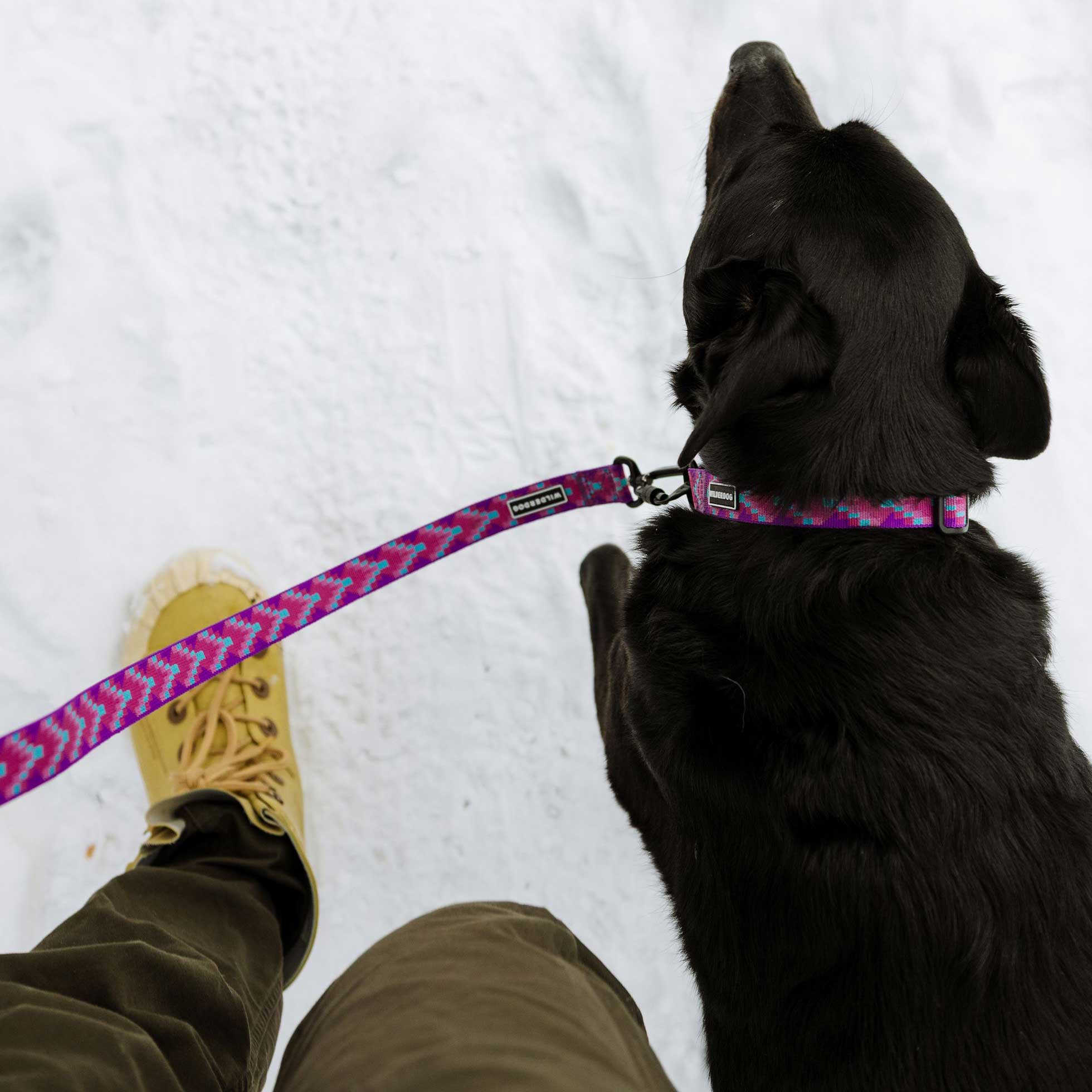 Lupin Ultralight Leash - Image 3
