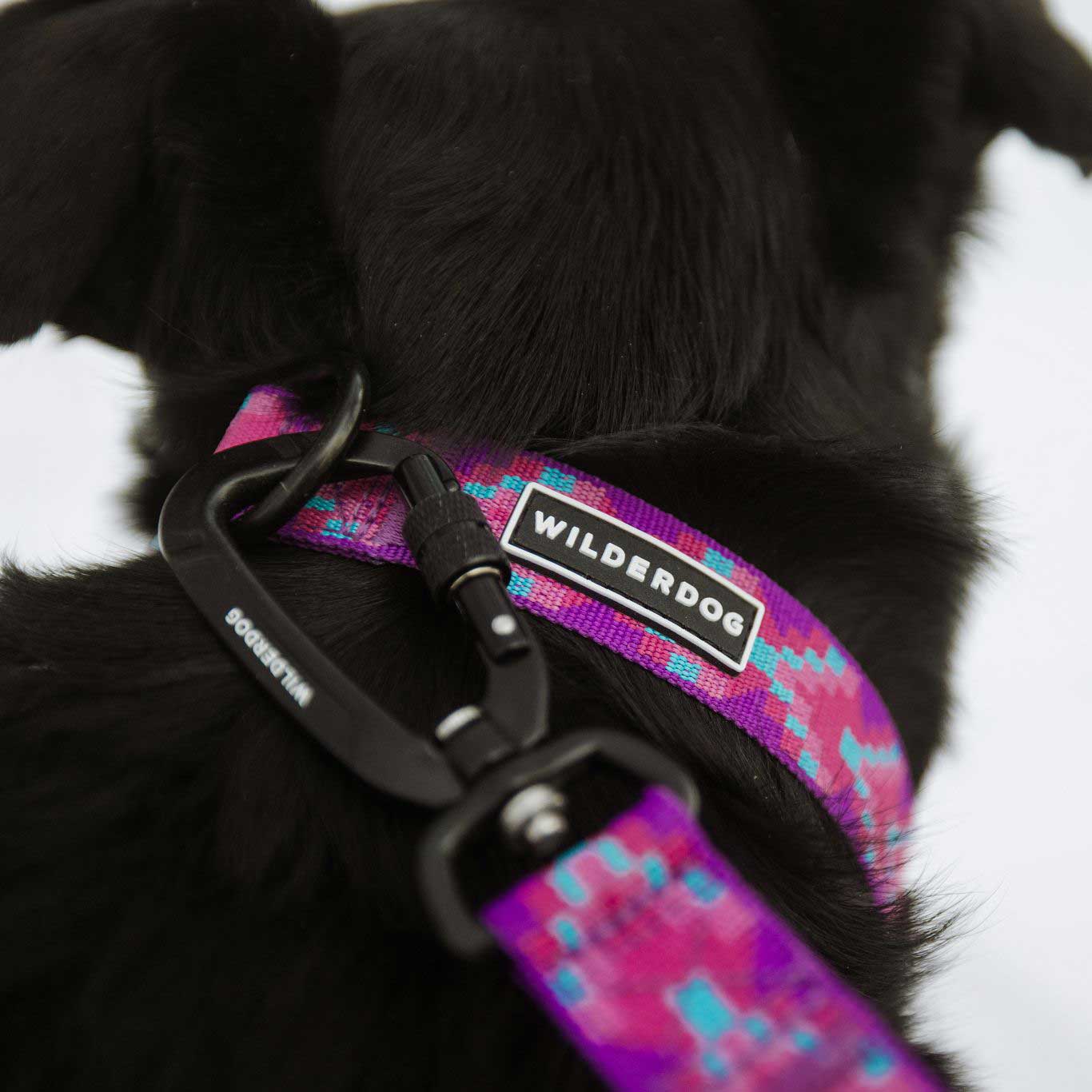 Lupin Ultralight Leash - Image 5