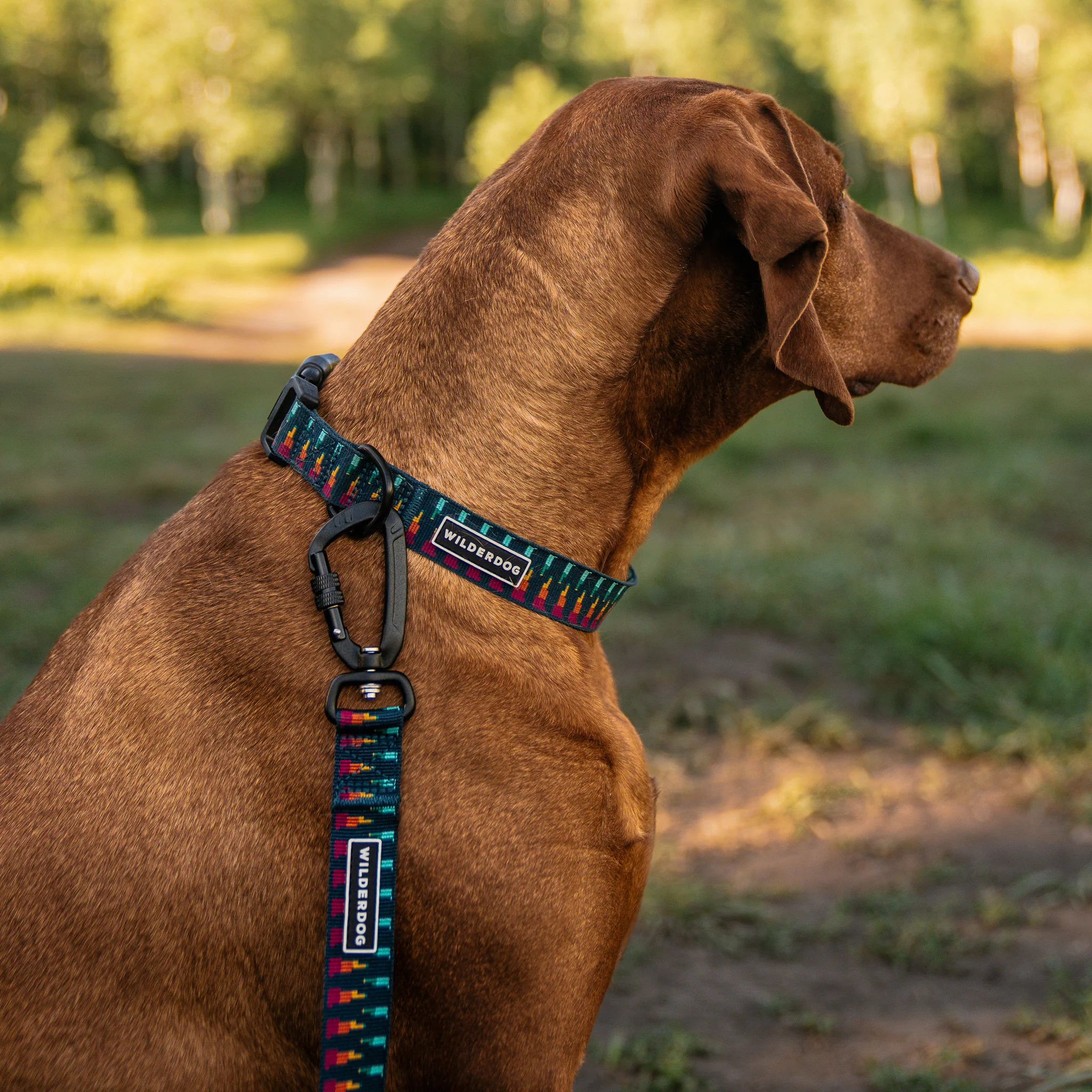 Marina Ultralight Leash - Image 3