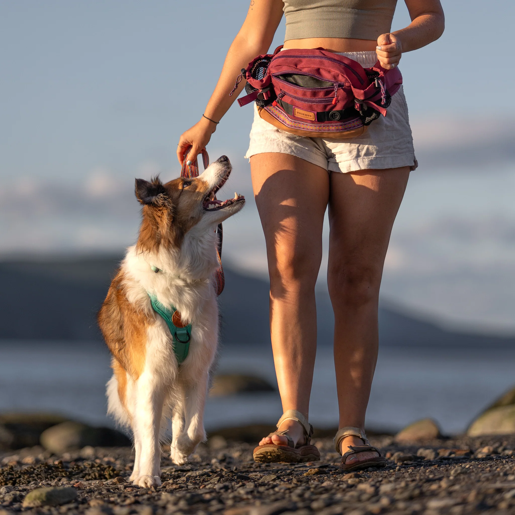 Mega Hip Pack - Image 10