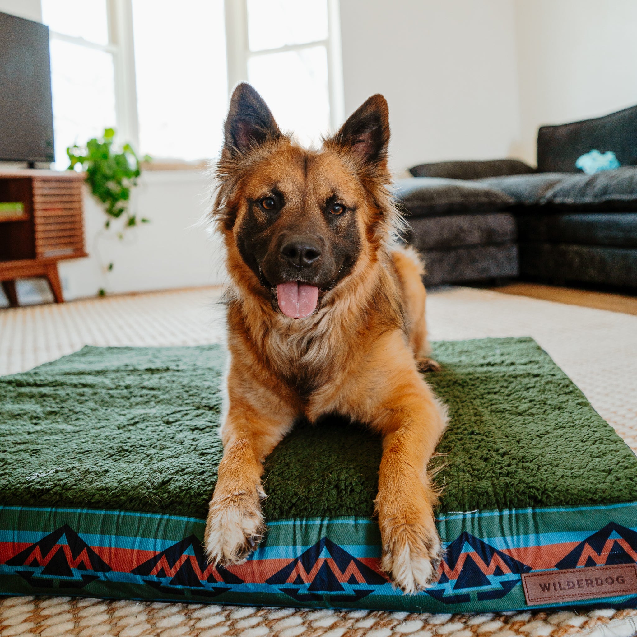 Memory Foam Dog Bed - Image 5