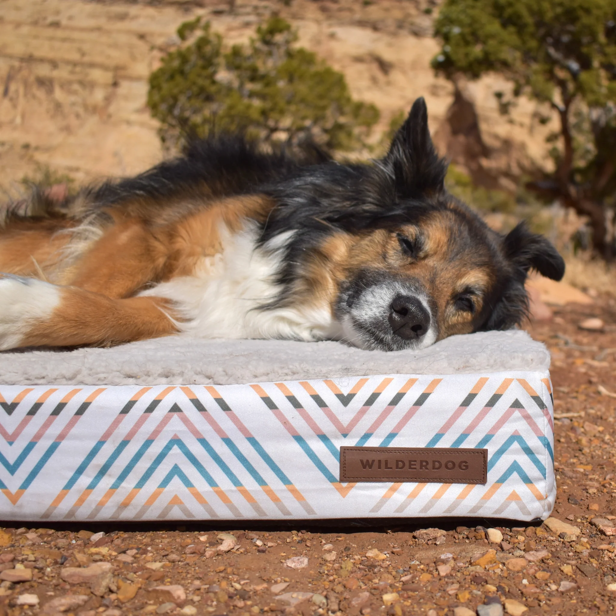 Memory Foam Dog Bed - Image 9