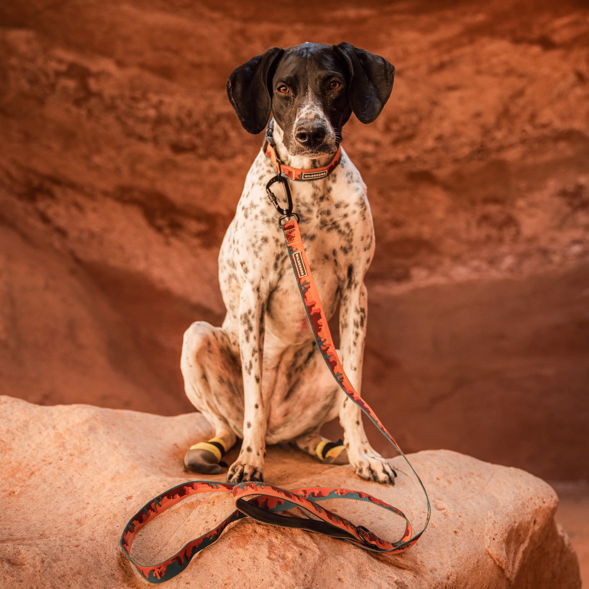 Moab Ultralight Collar - Image 3