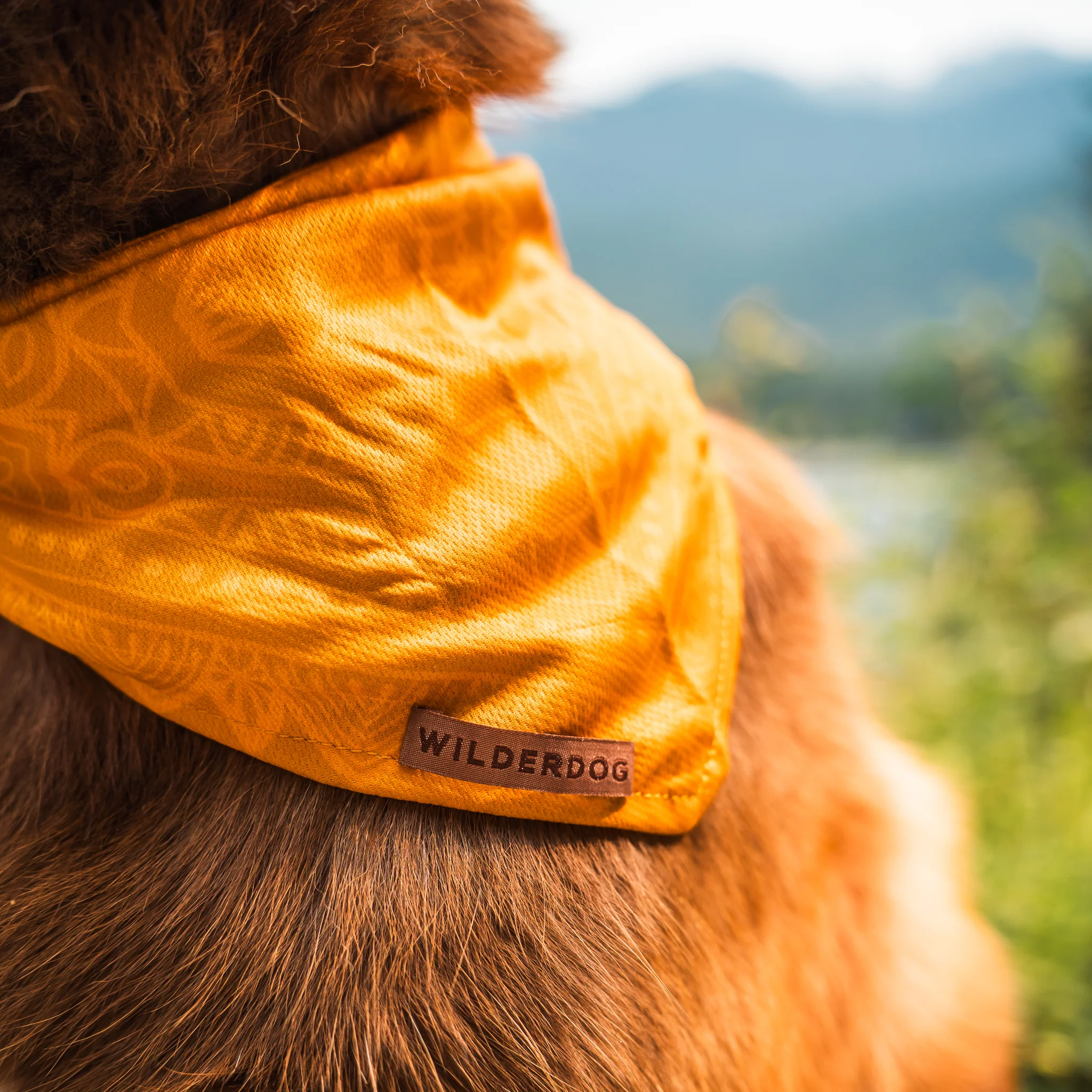 Mustard Bandana - Image 3