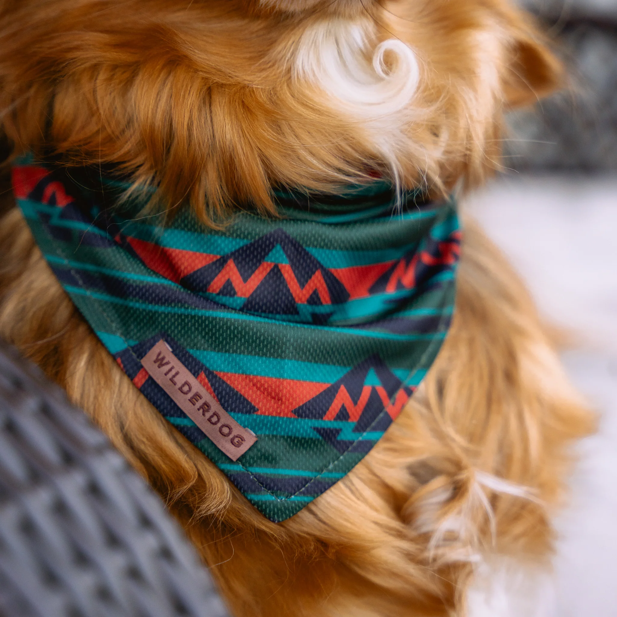 Olive Bandana - Image 3