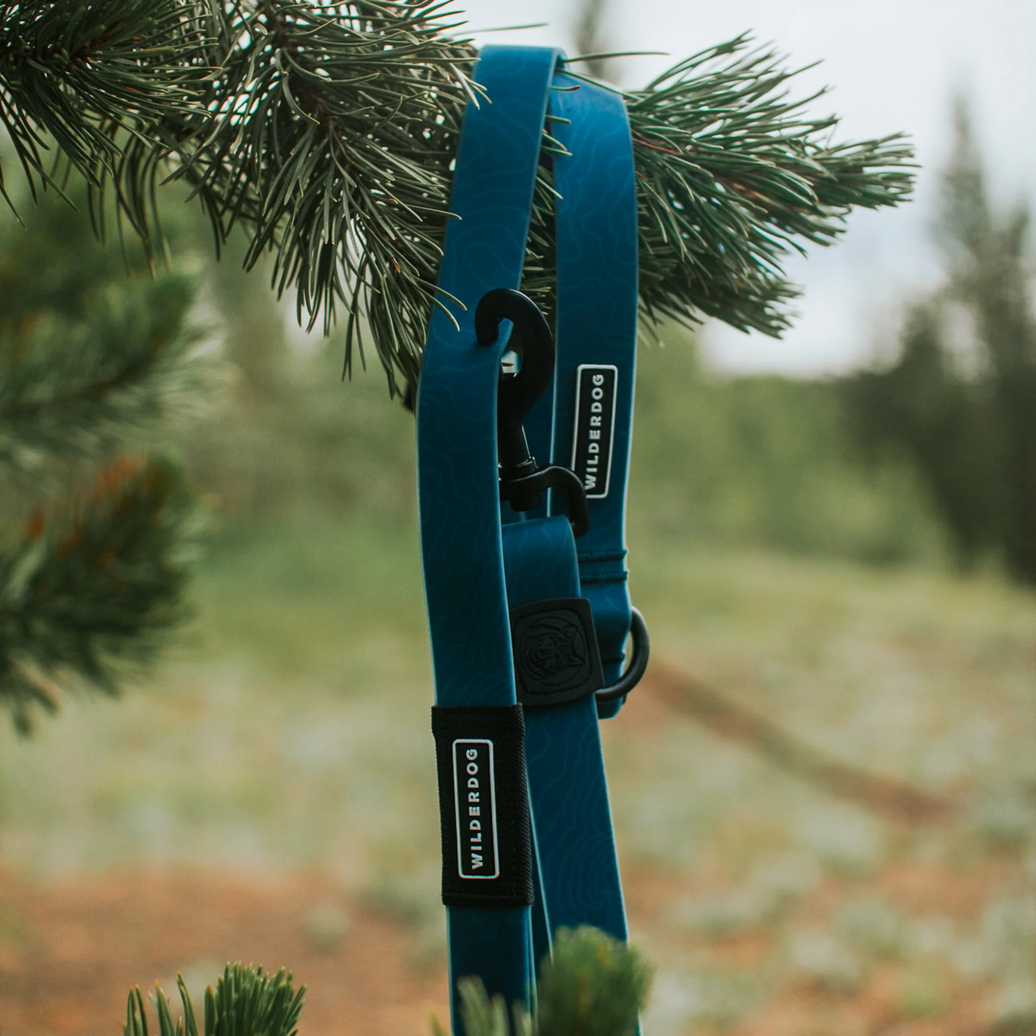 Pacific Blue Waterproof Leash - Image 5