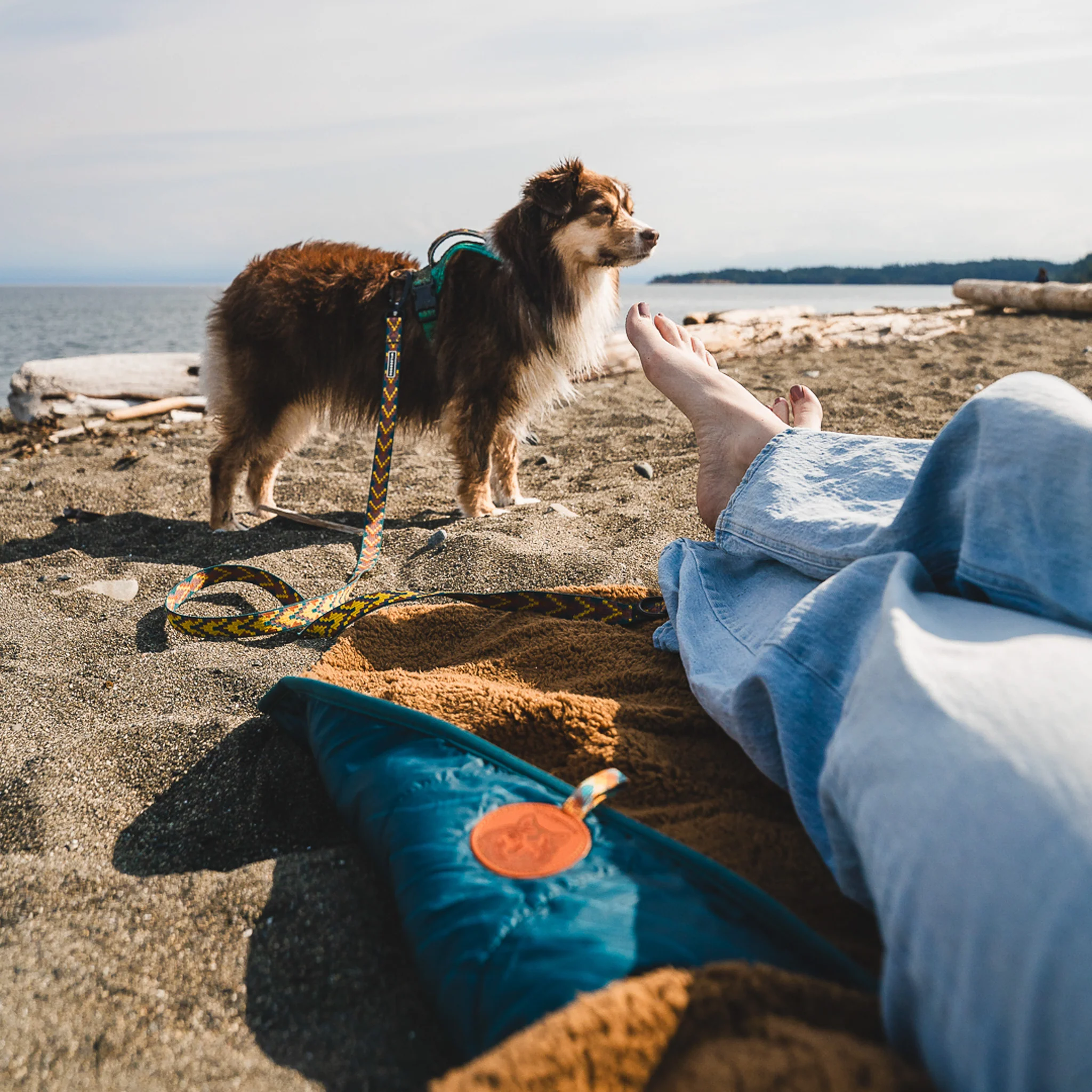 Picnic Blanket - Image 5