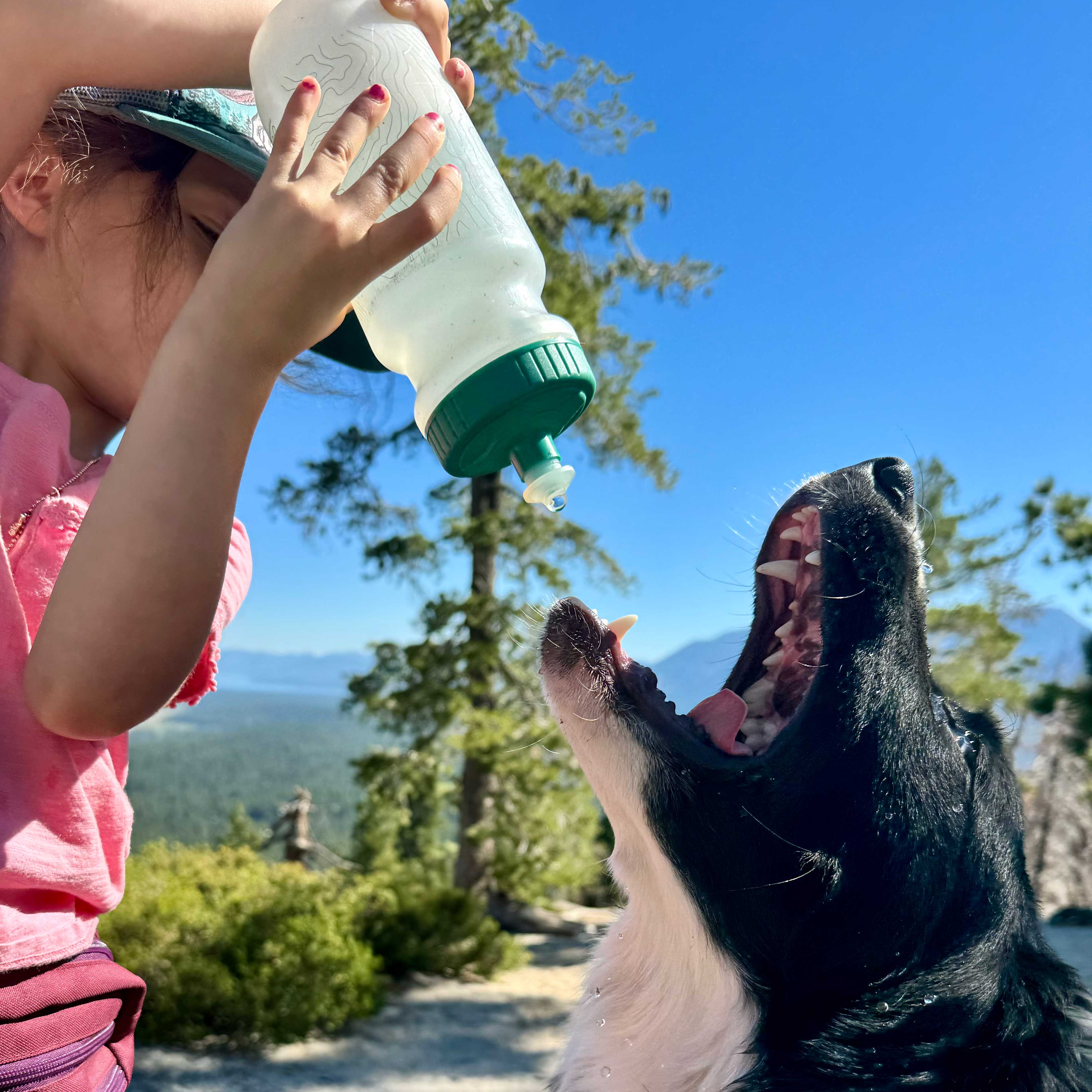 Plant-Based Water Bottle - Image 3