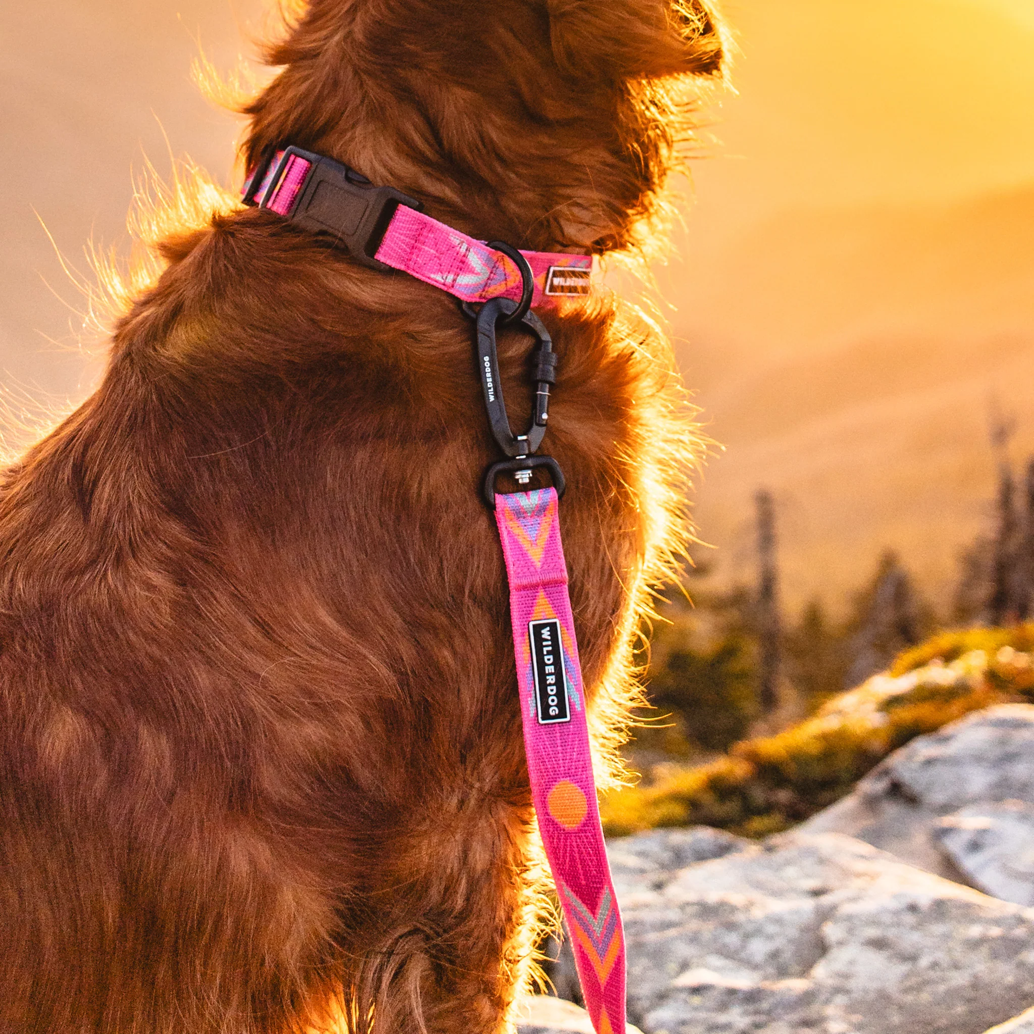 Playa Ultralight Collar - Image 3